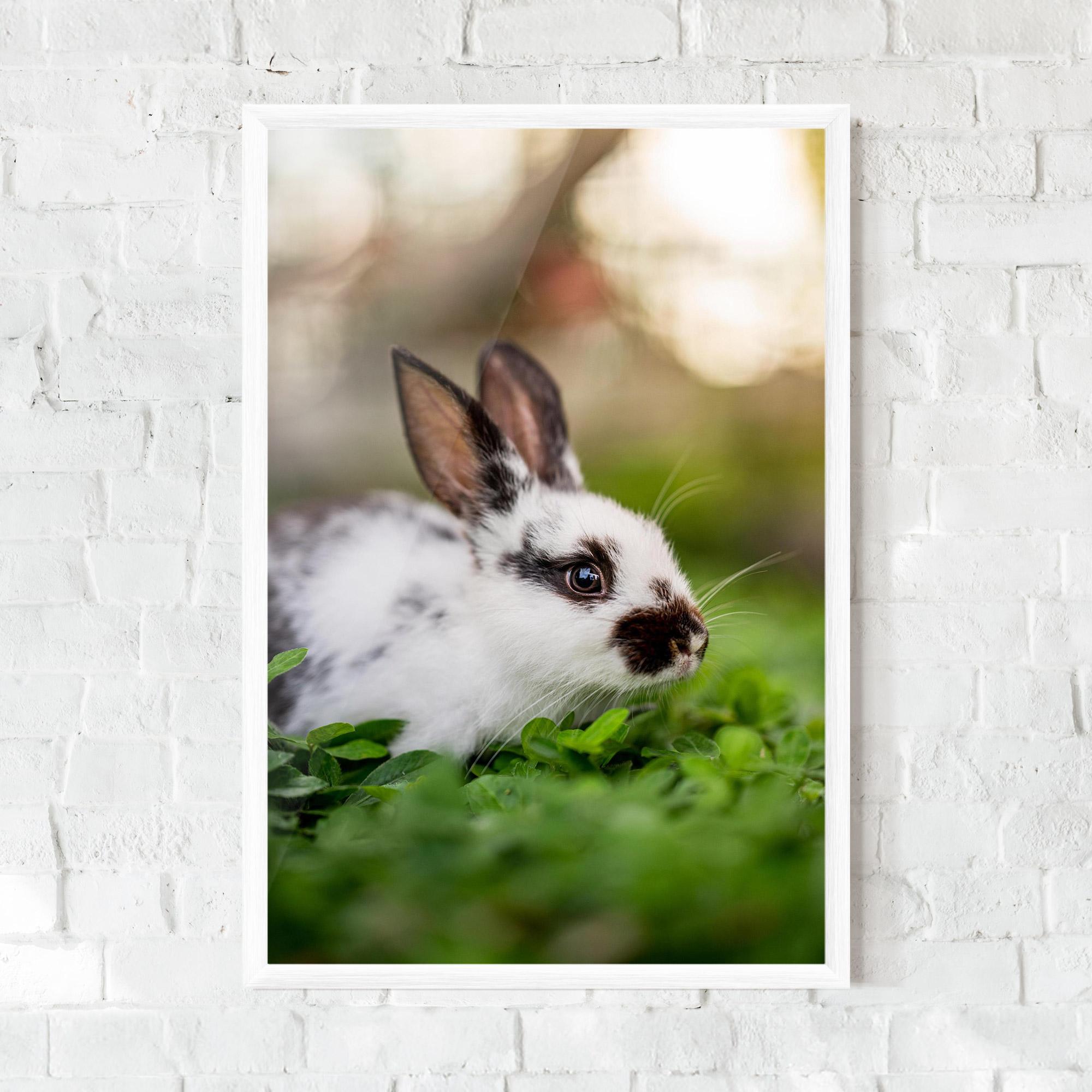 Gerahmte Poster White Black Bunny mockup 0