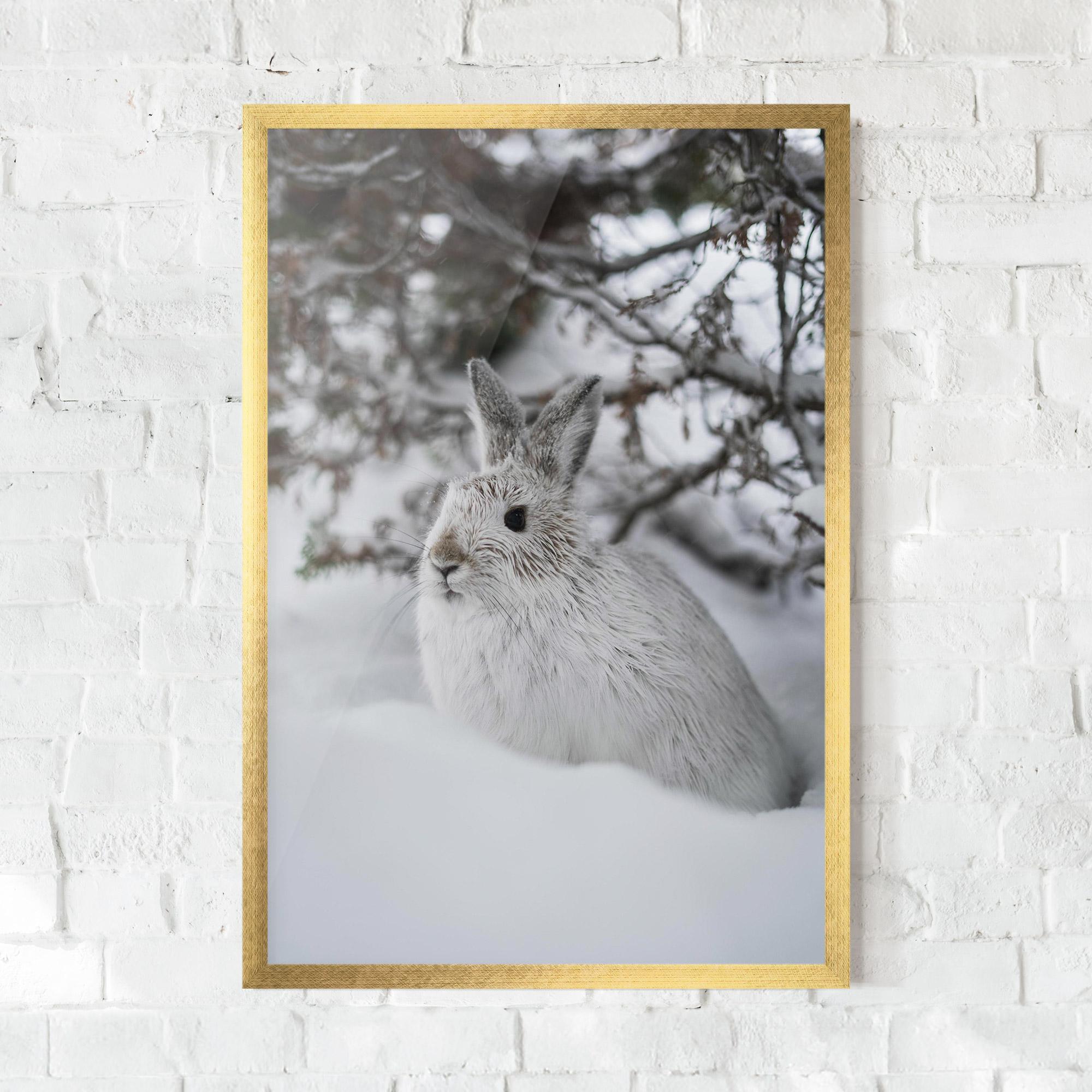 Gerahmte Poster Bunny In Snow mockup 0