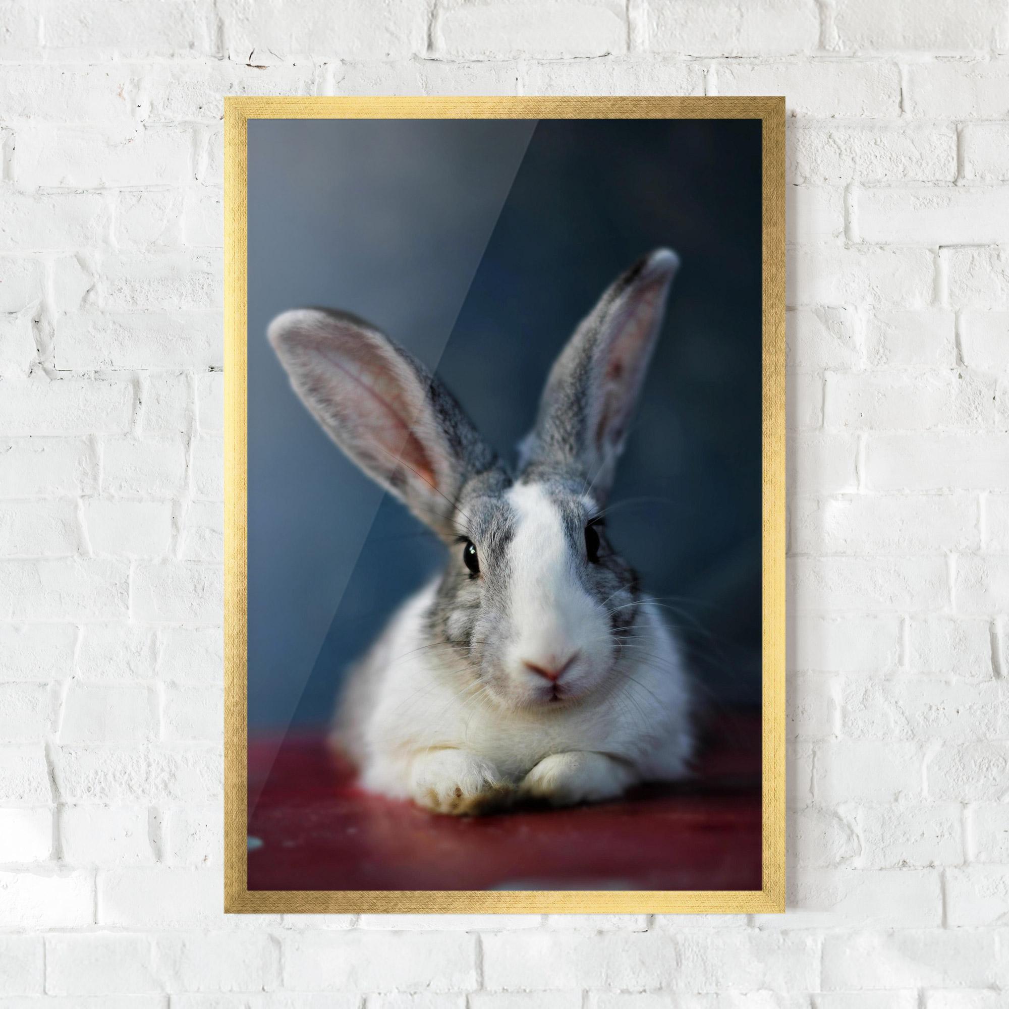 Gerahmte Poster Cute Grey Bunny mockup 0
