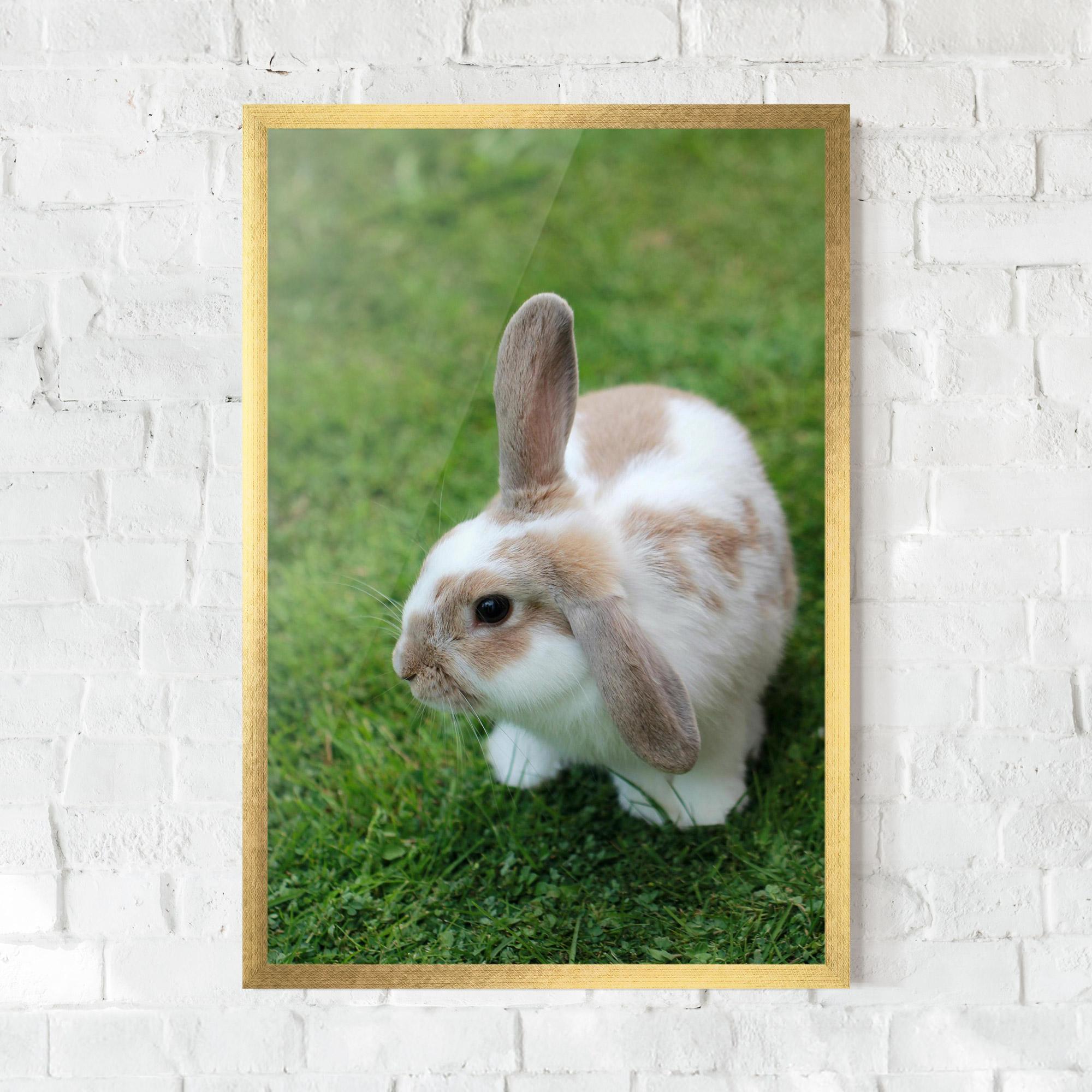 Gerahmte Poster Light Orange Bunny mockup 0