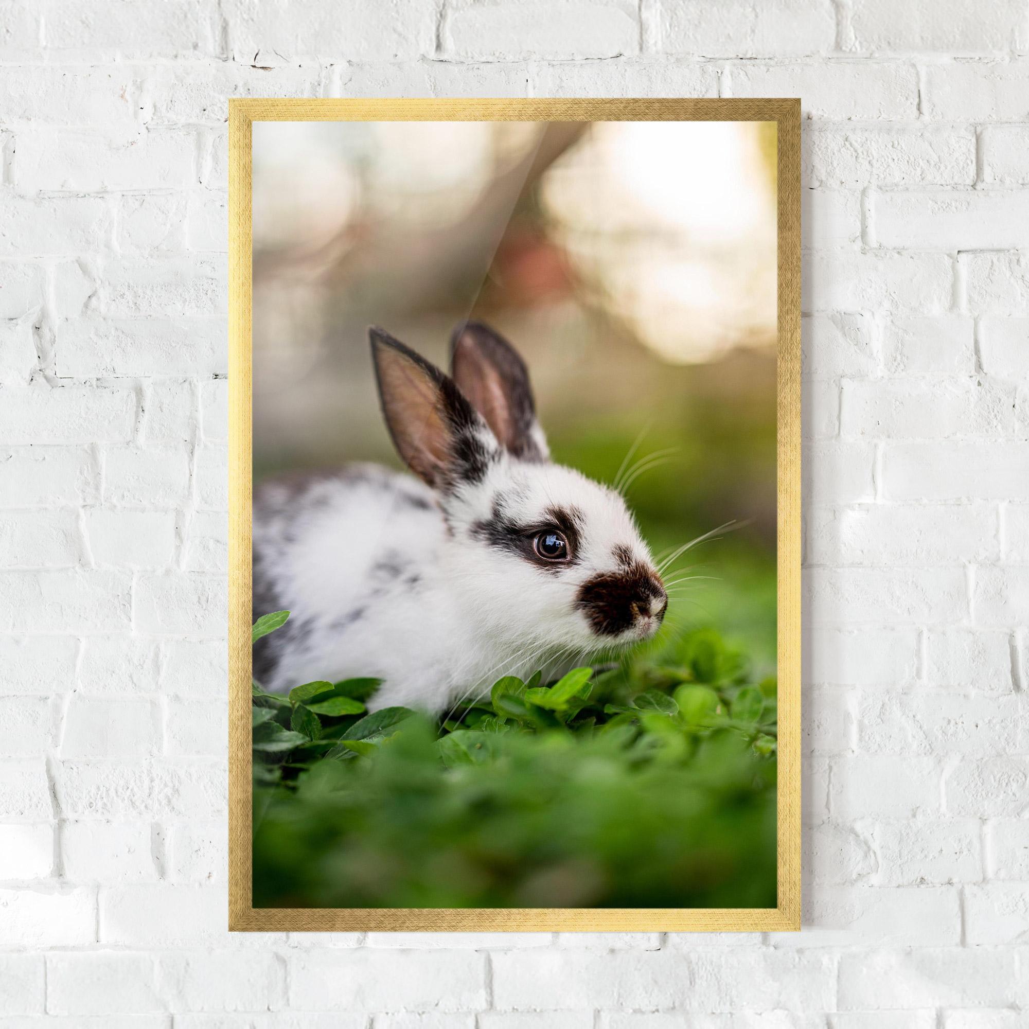 Gerahmte Poster White Black Bunny mockup 0