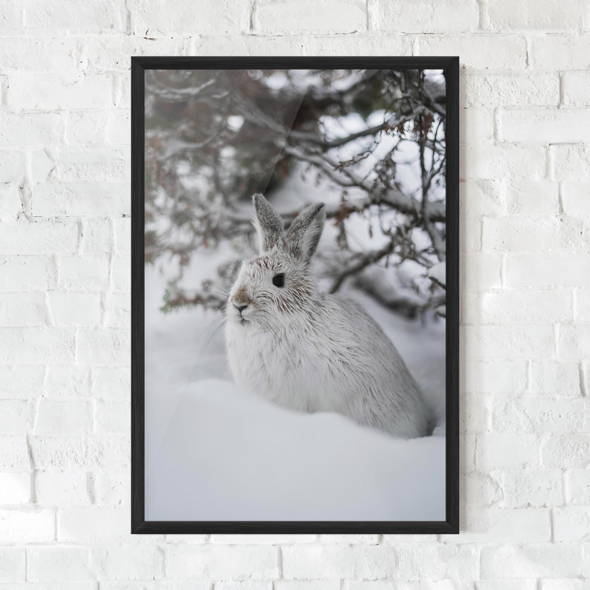 Gerahmte Poster Bunny In Snow mockup 0
