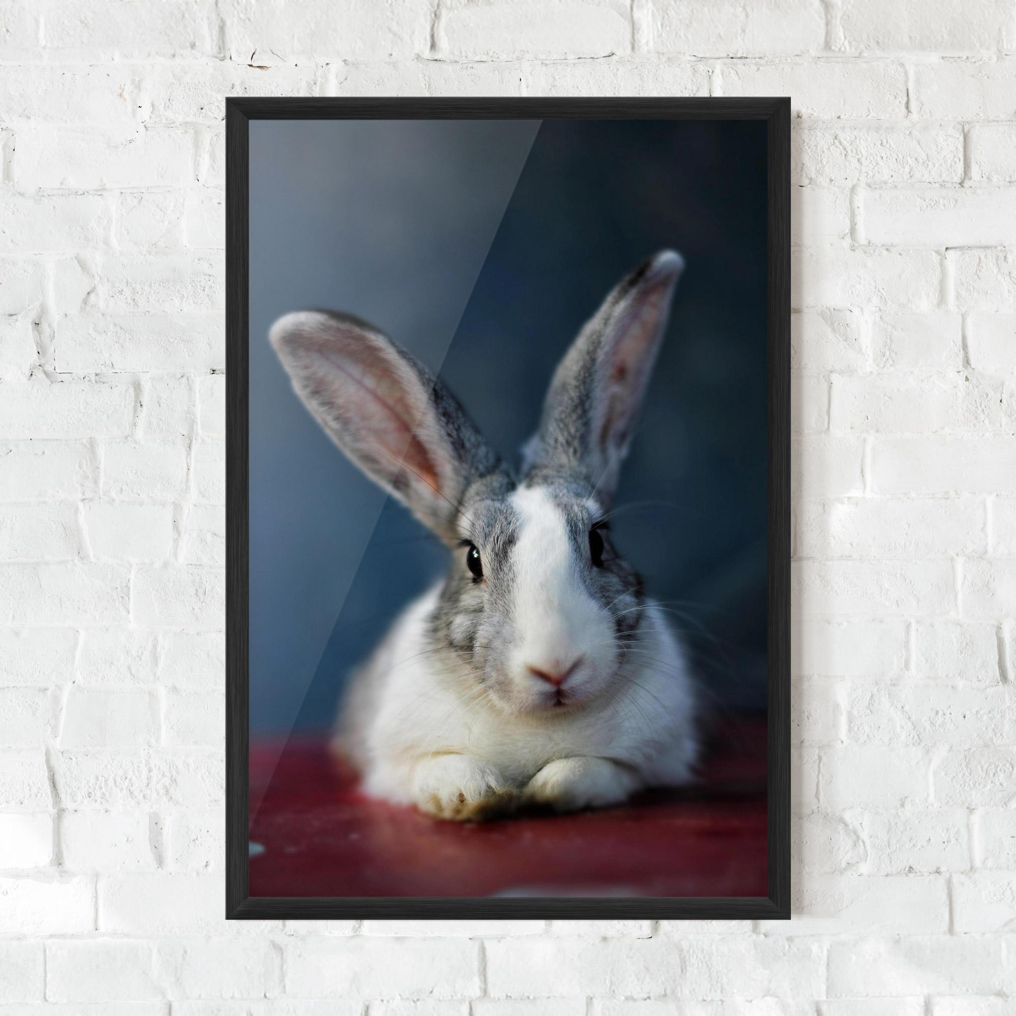 Gerahmte Poster Cute Grey Bunny mockup 0