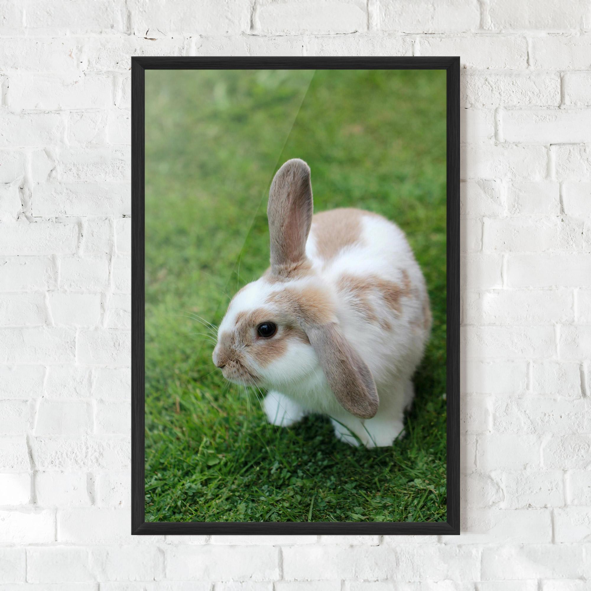 Gerahmte Poster Light Orange Bunny mockup 0