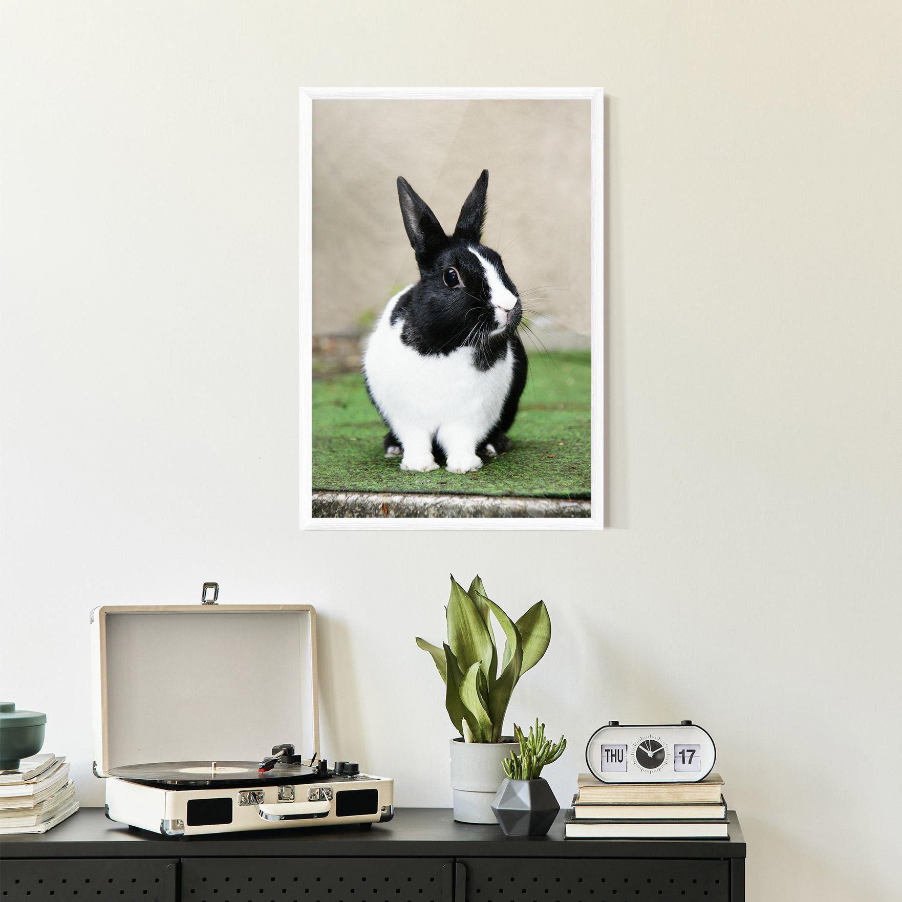 Gerahmte Poster Black Ear Rabbit mockup 2