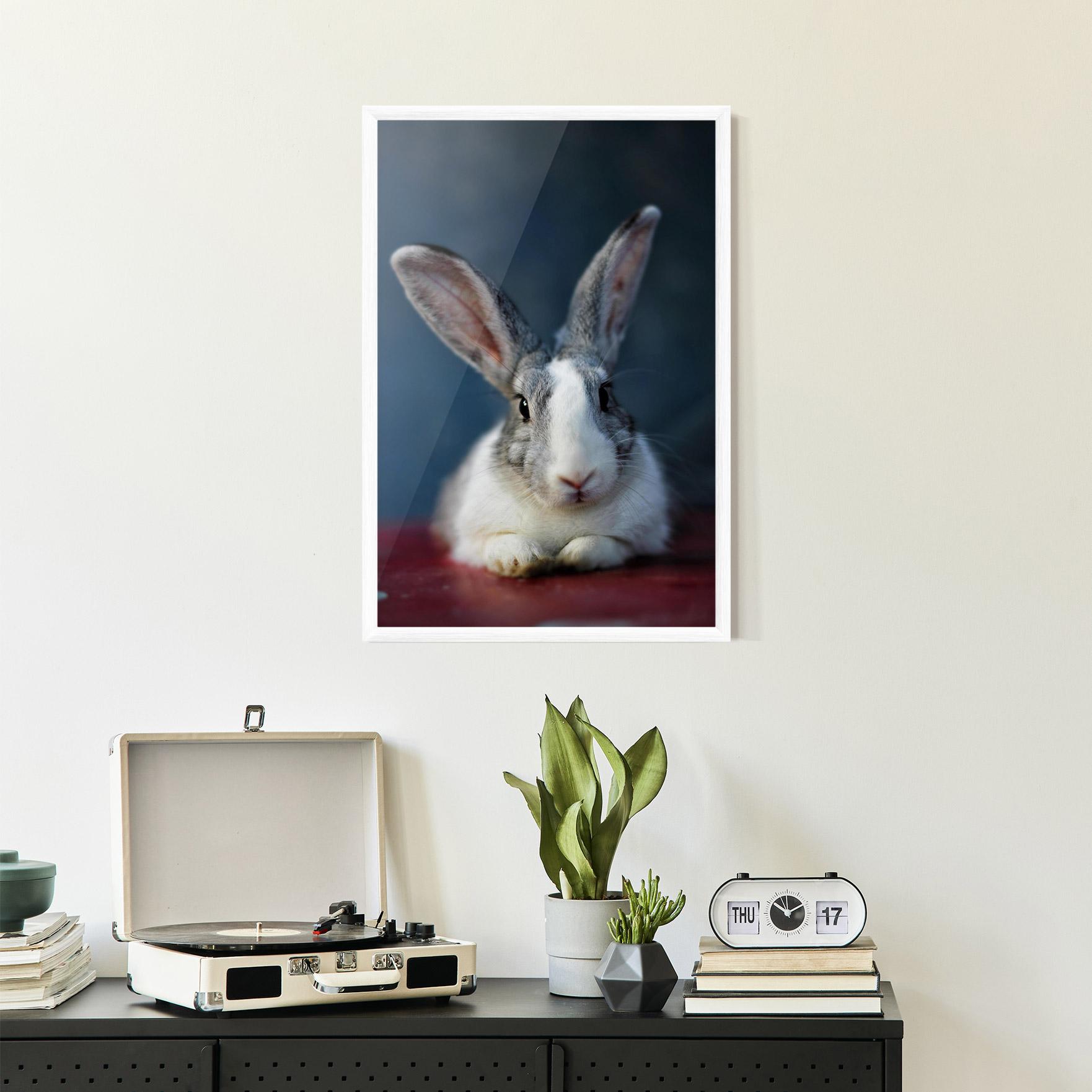 Gerahmte Poster Cute Grey Bunny mockup 2