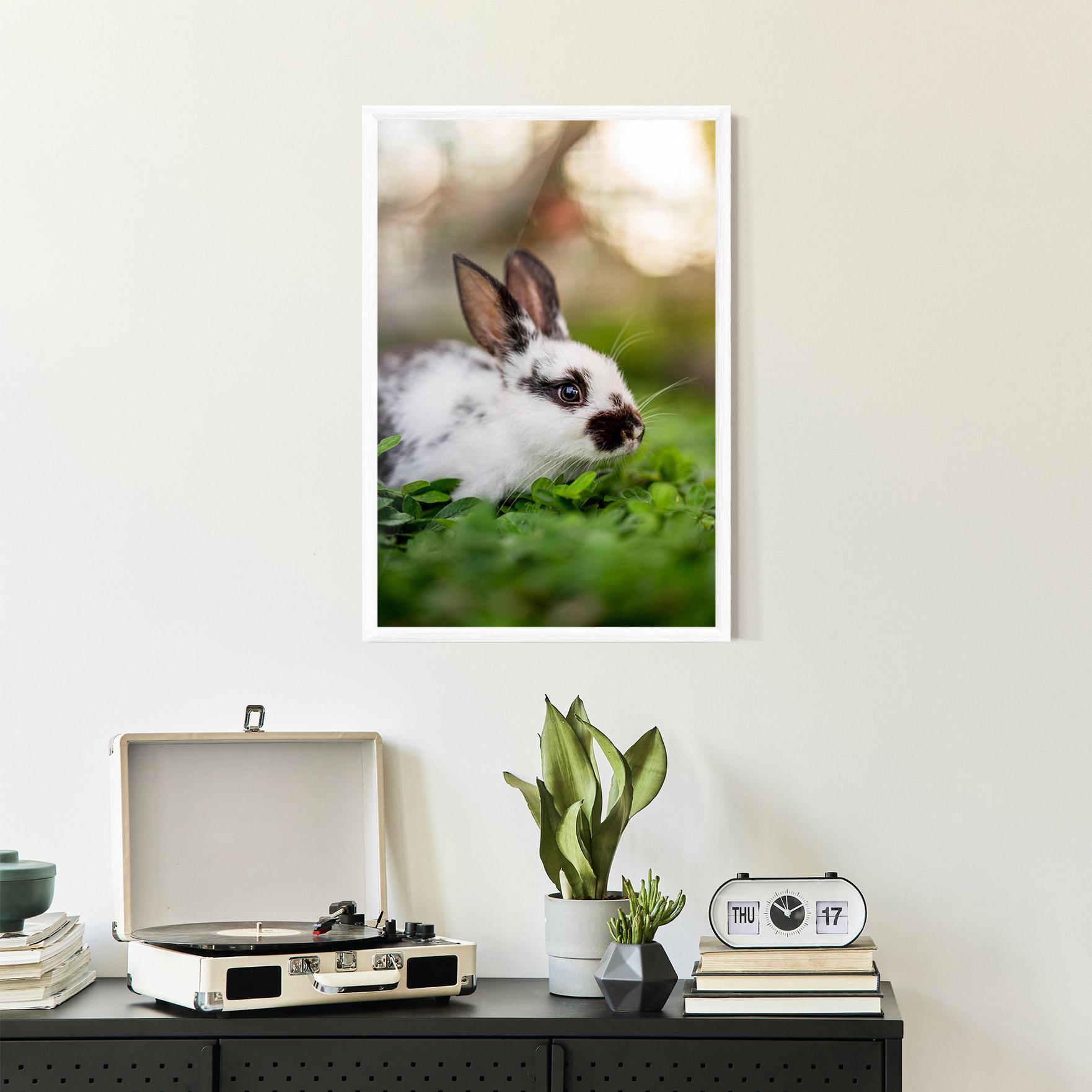 Gerahmte Poster White Black Bunny mockup 2