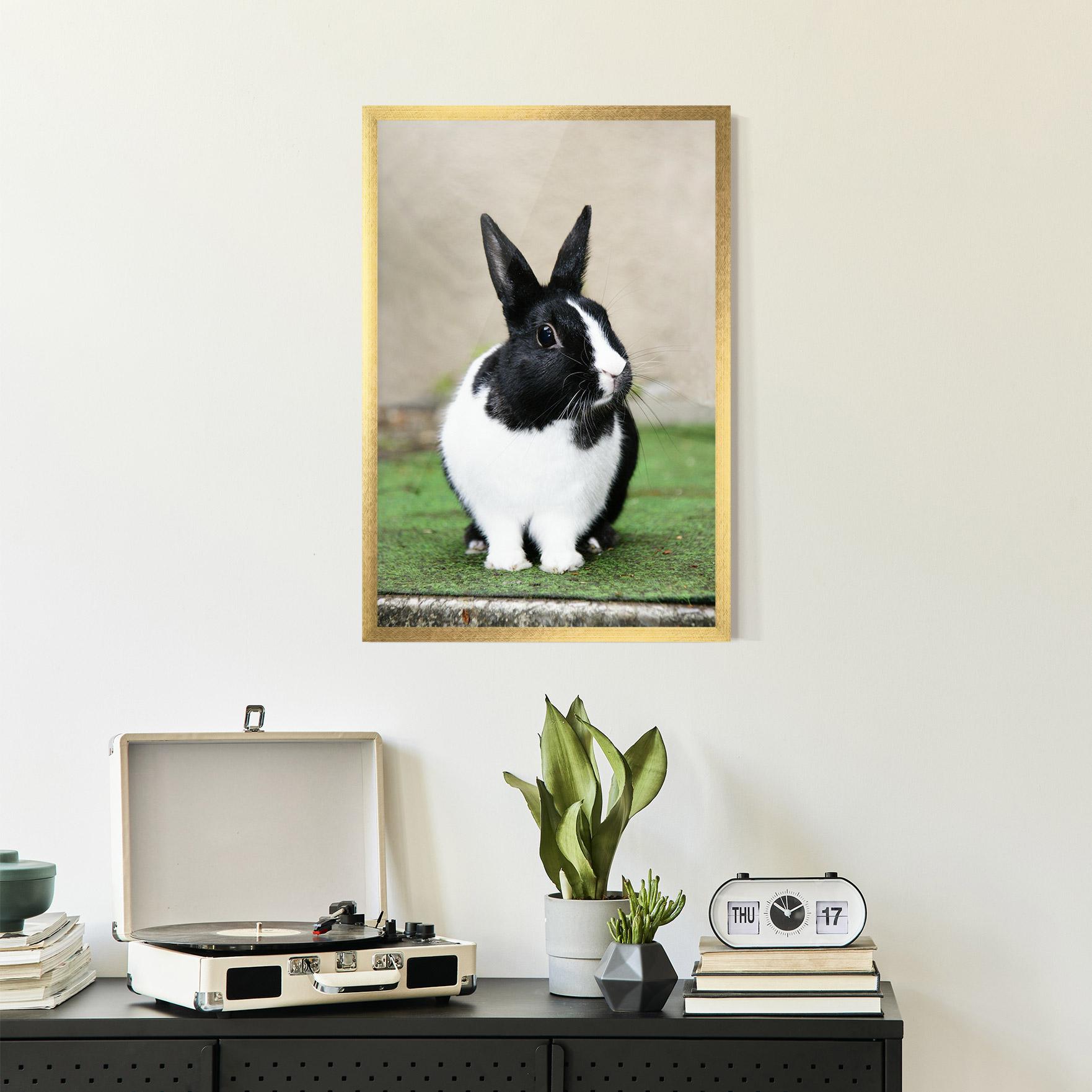 Gerahmte Poster Black Ear Rabbit mockup 2