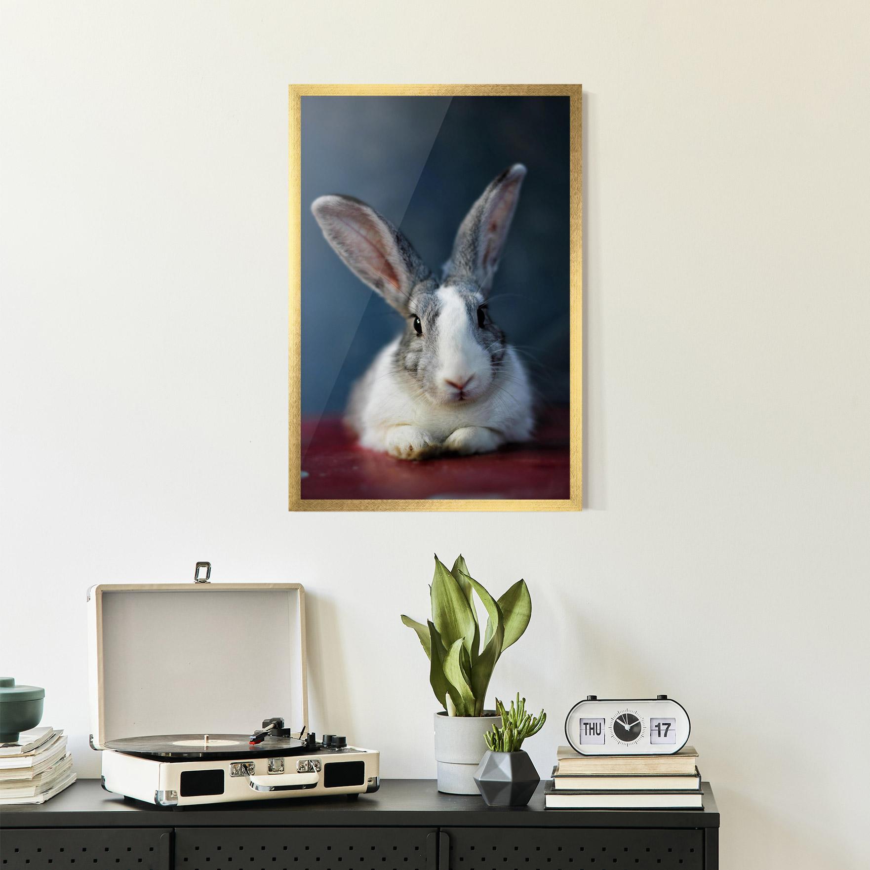 Gerahmte Poster Cute Grey Bunny mockup 2