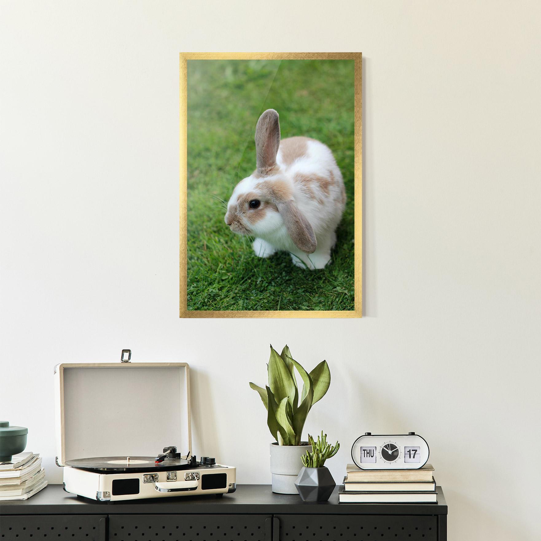 Gerahmte Poster Light Orange Bunny mockup 2