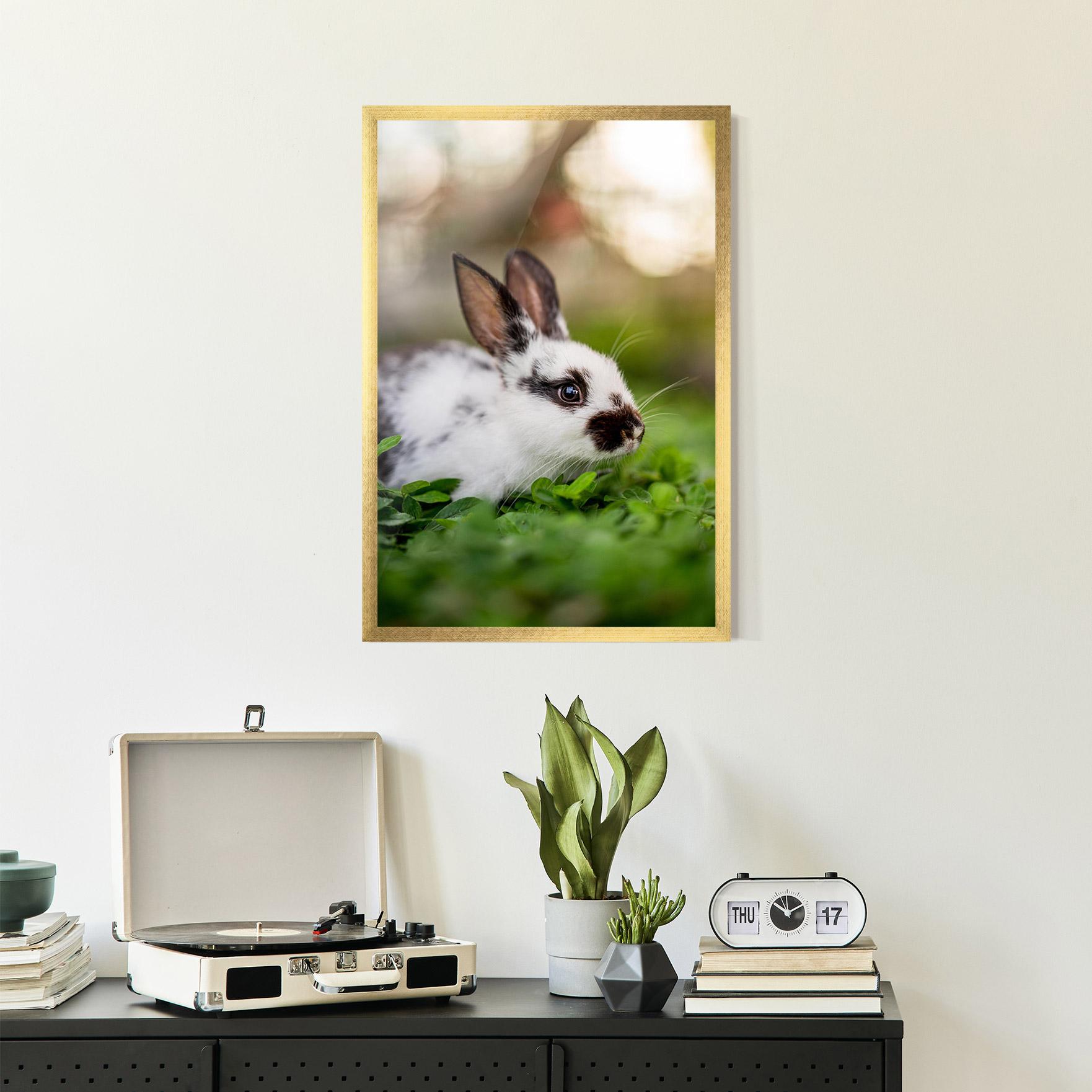 Gerahmte Poster White Black Bunny mockup 2
