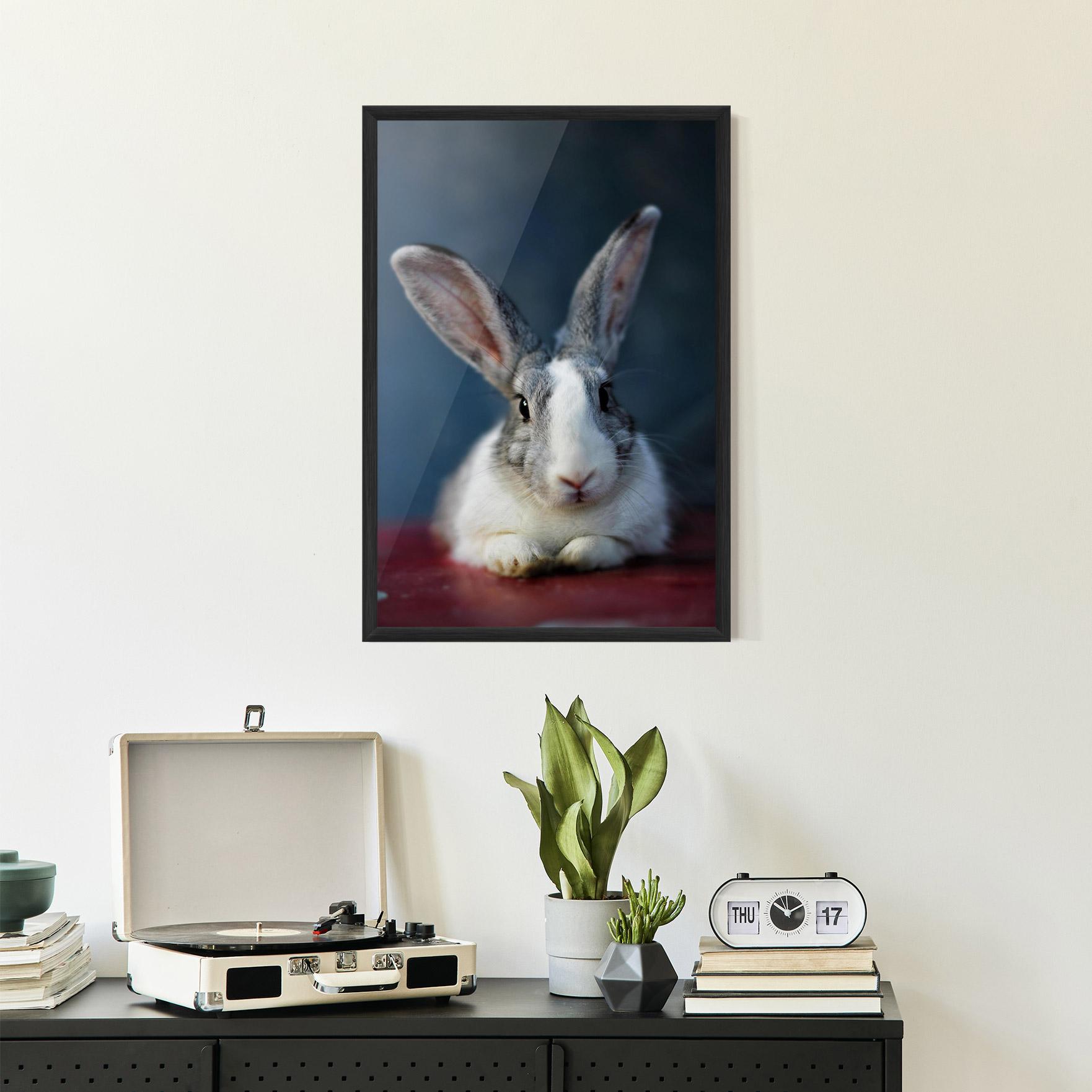 Gerahmte Poster Cute Grey Bunny mockup 2