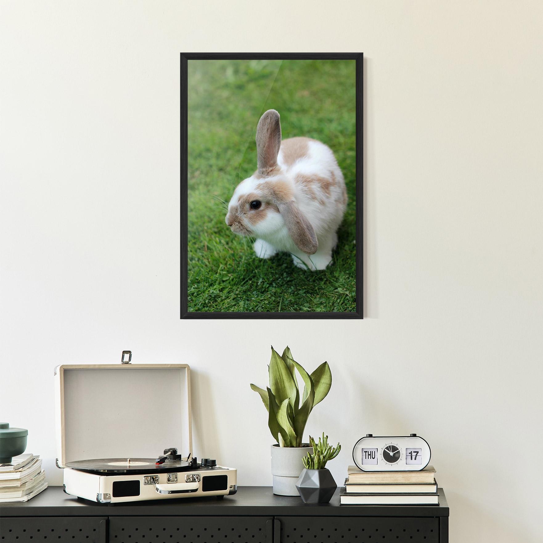 Gerahmte Poster Light Orange Bunny mockup 2