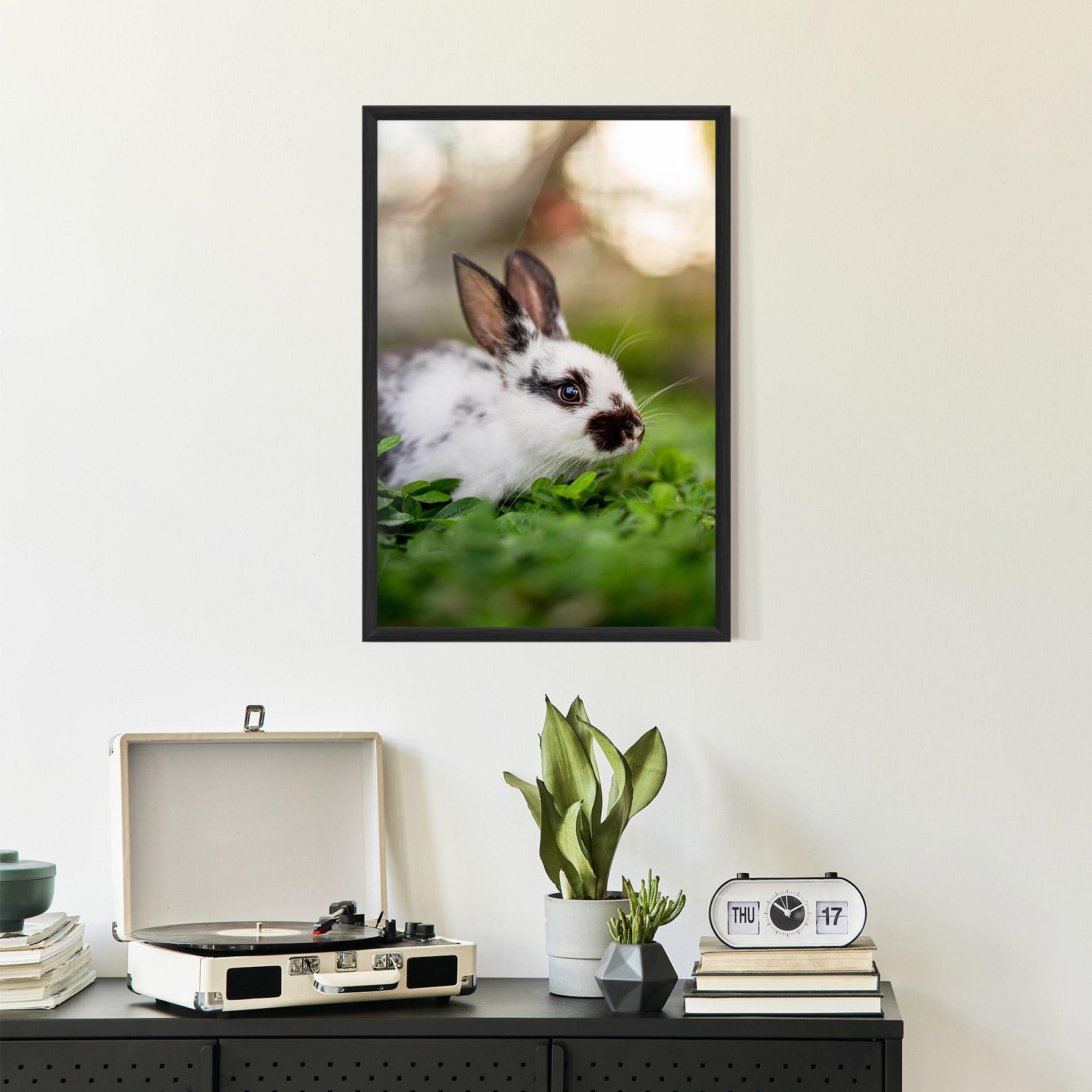 Gerahmte Poster White Black Bunny mockup 2