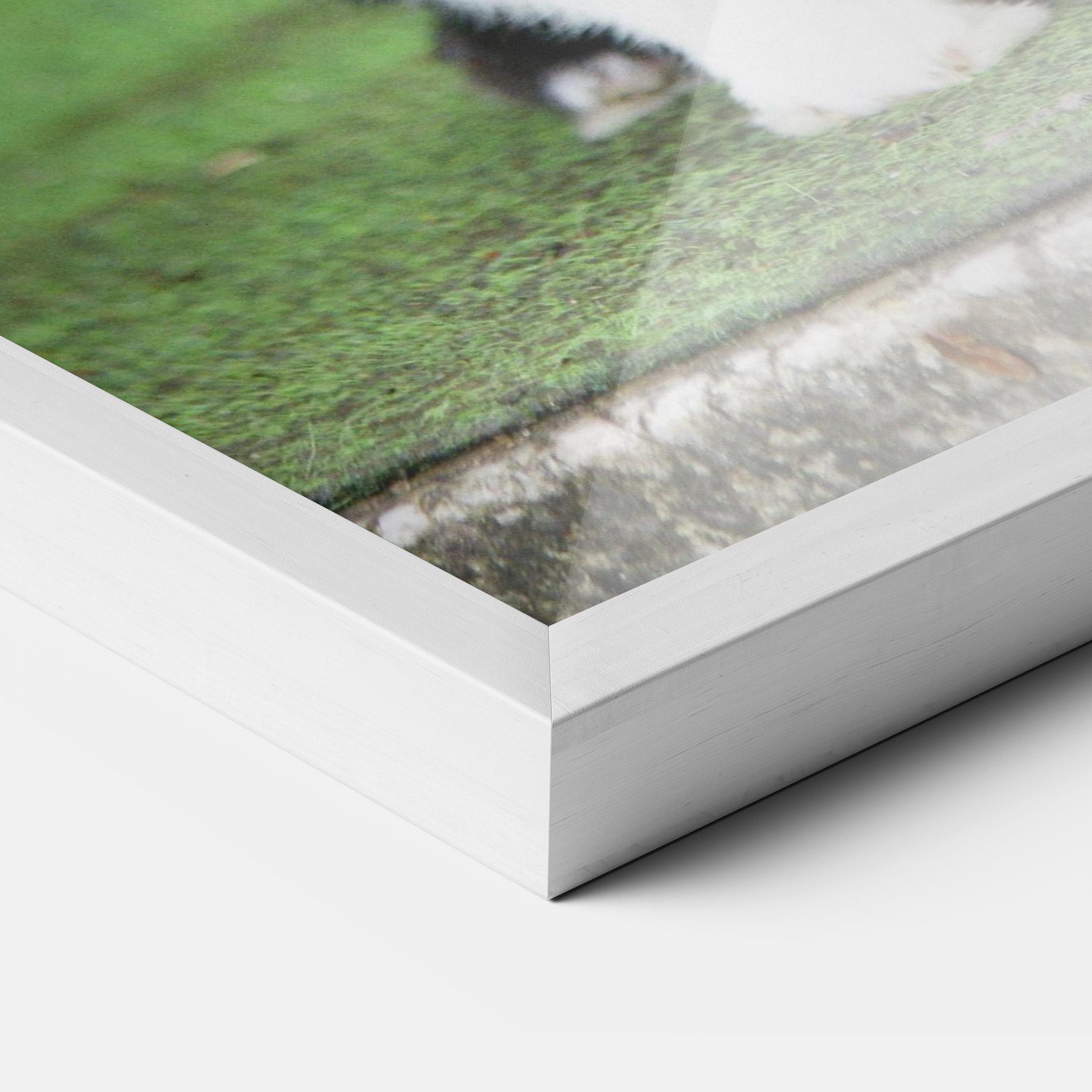 Gerahmte Poster Black Ear Rabbit mockup 3