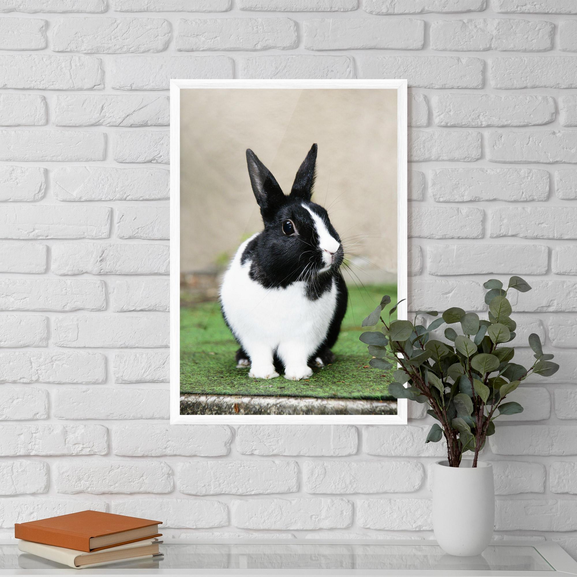 Gerahmte Poster Black Ear Rabbit mockup 5