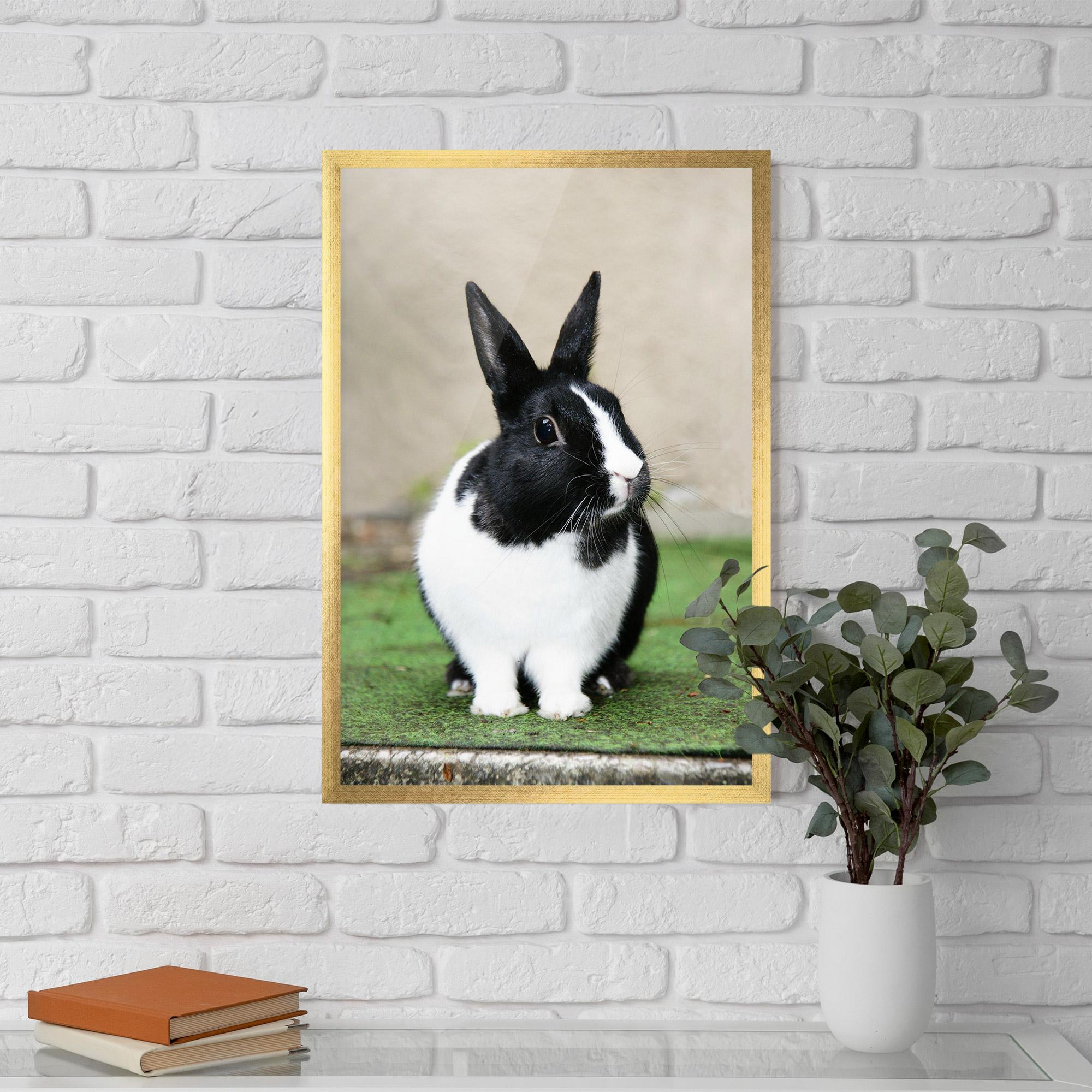 Gerahmte Poster Black Ear Rabbit mockup 5