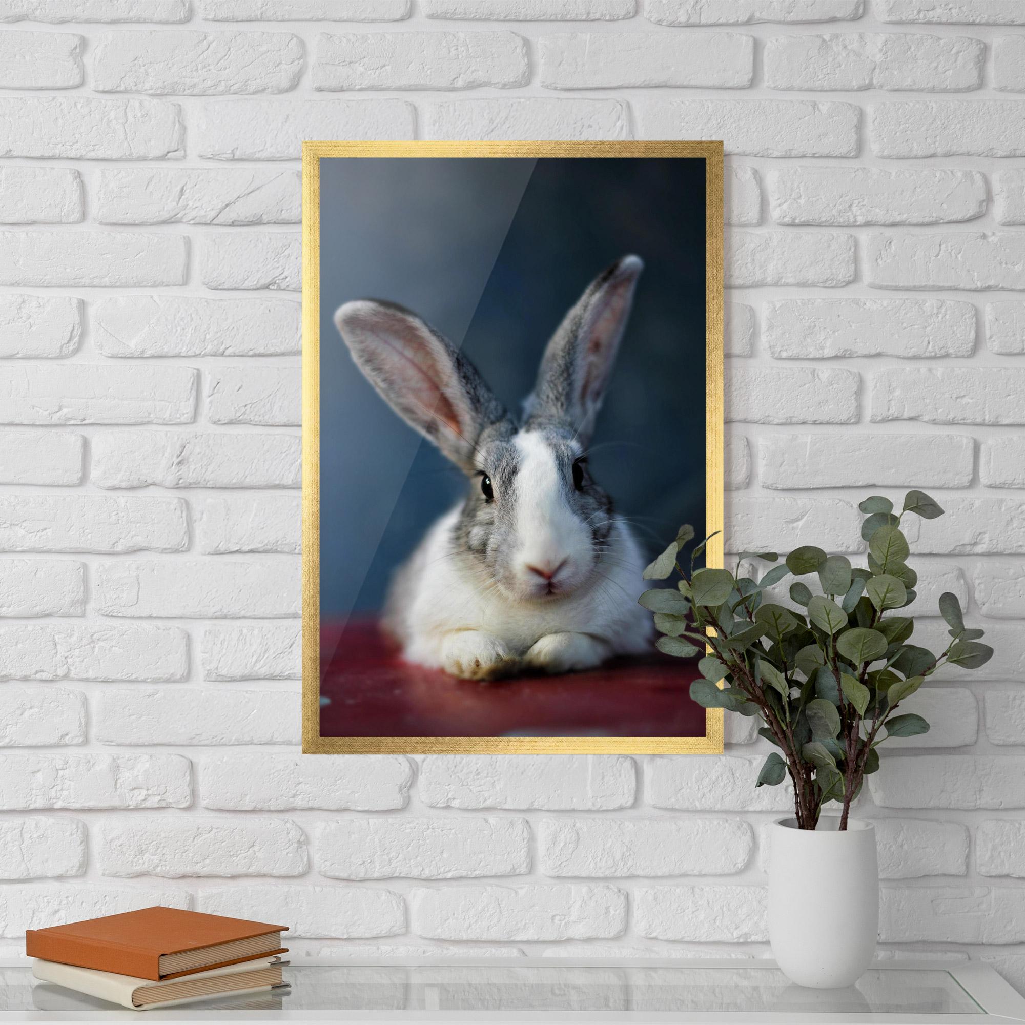 Gerahmte Poster Cute Grey Bunny mockup 5