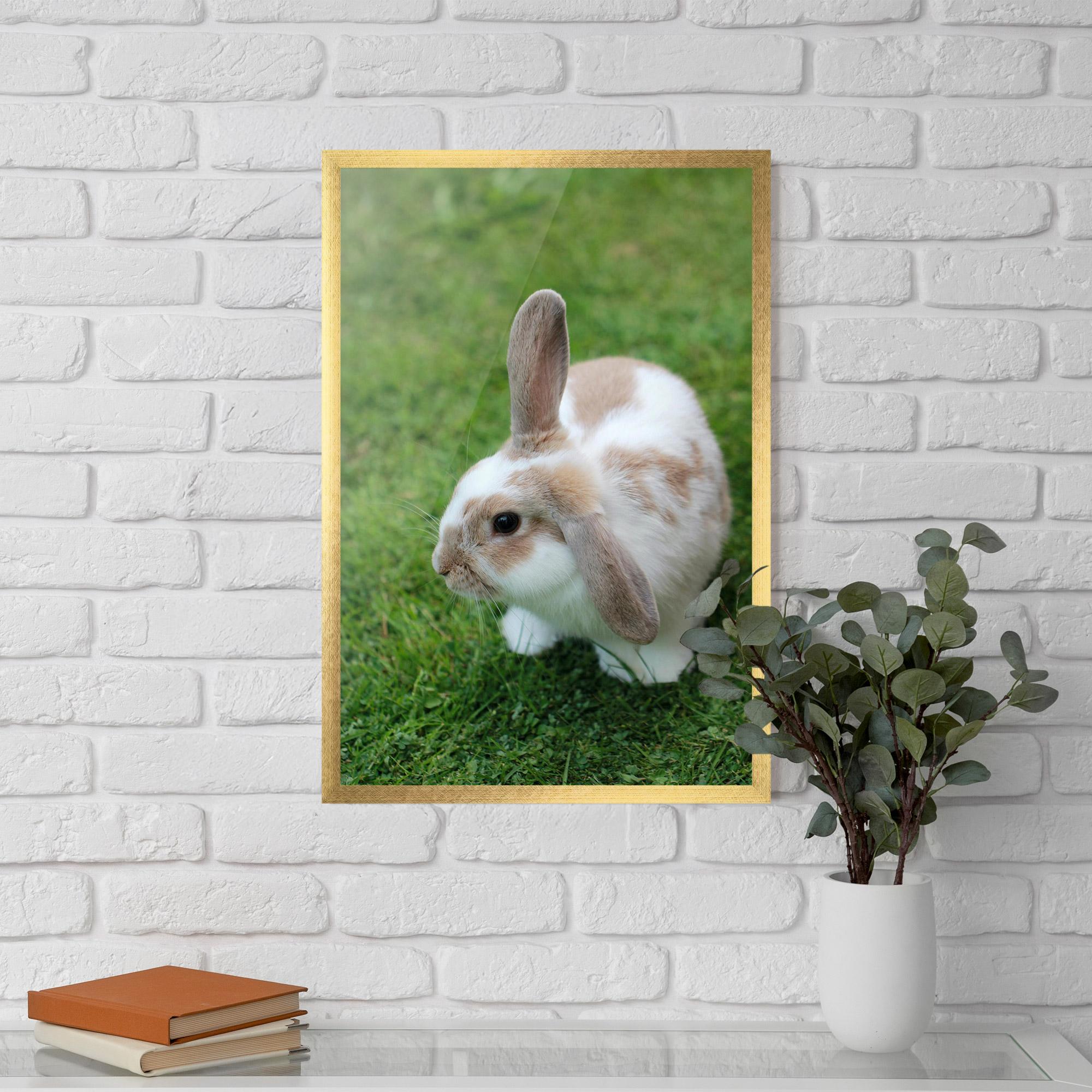 Gerahmte Poster Light Orange Bunny mockup 5