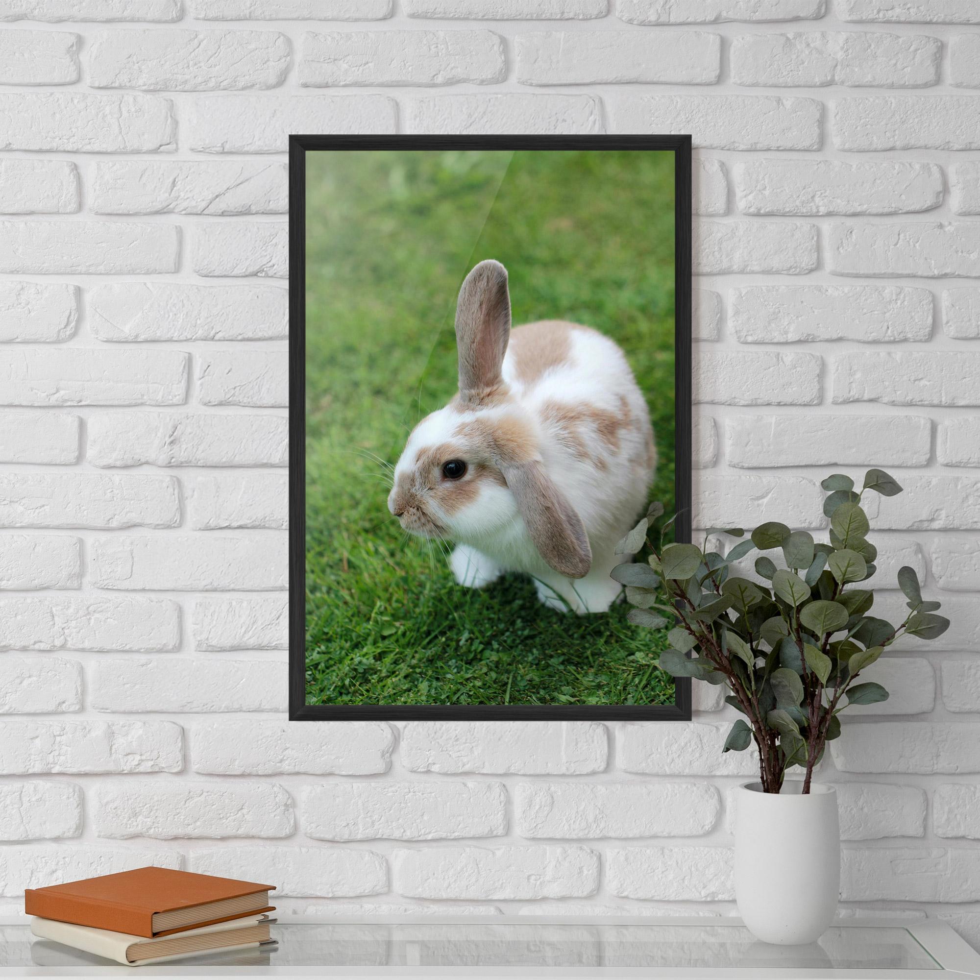 Gerahmte Poster Light Orange Bunny mockup 5