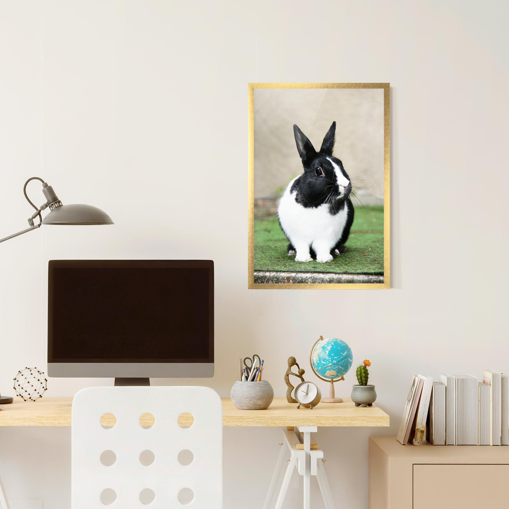 Gerahmte Poster Black Ear Rabbit mockup 6