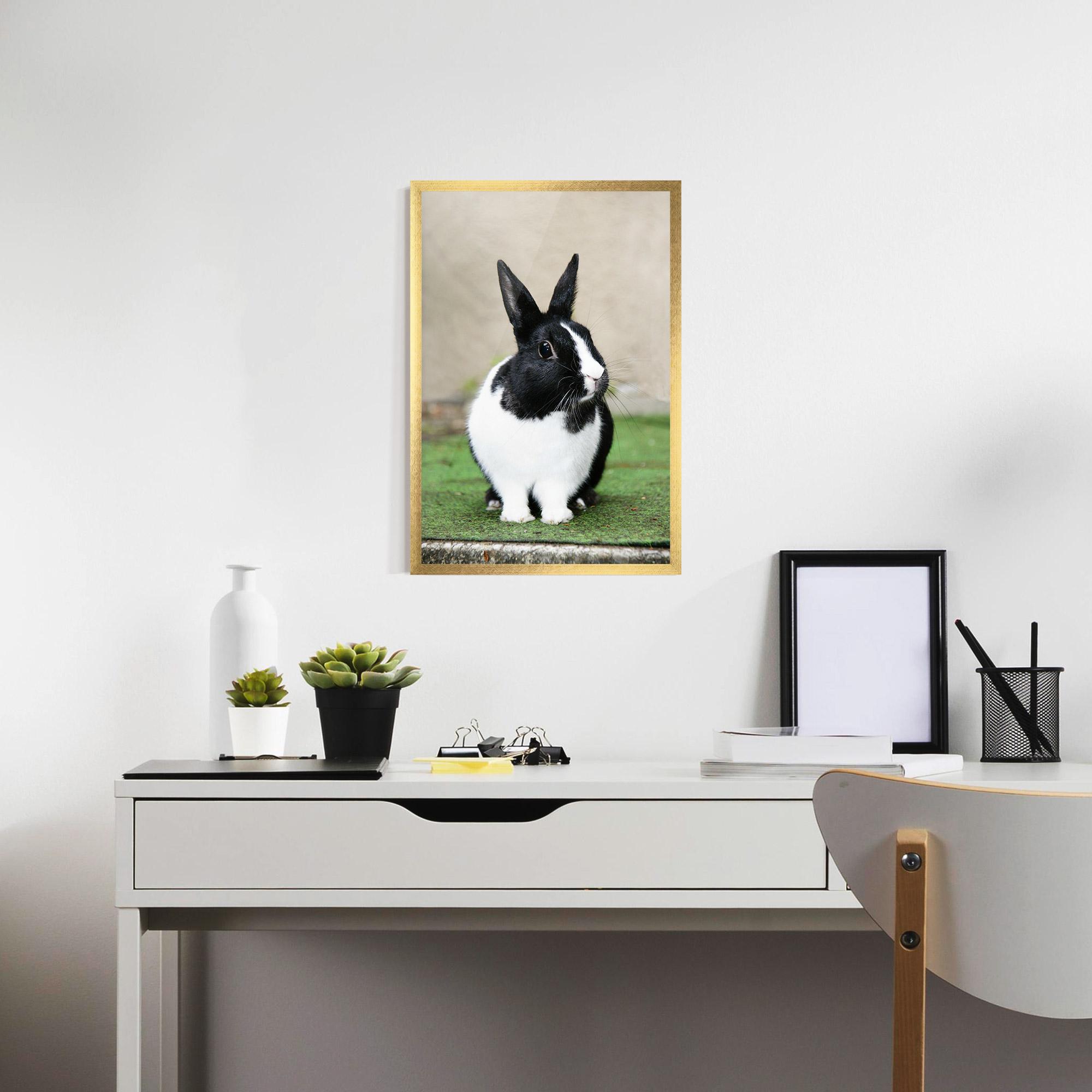 Gerahmte Poster Black Ear Rabbit mockup 7