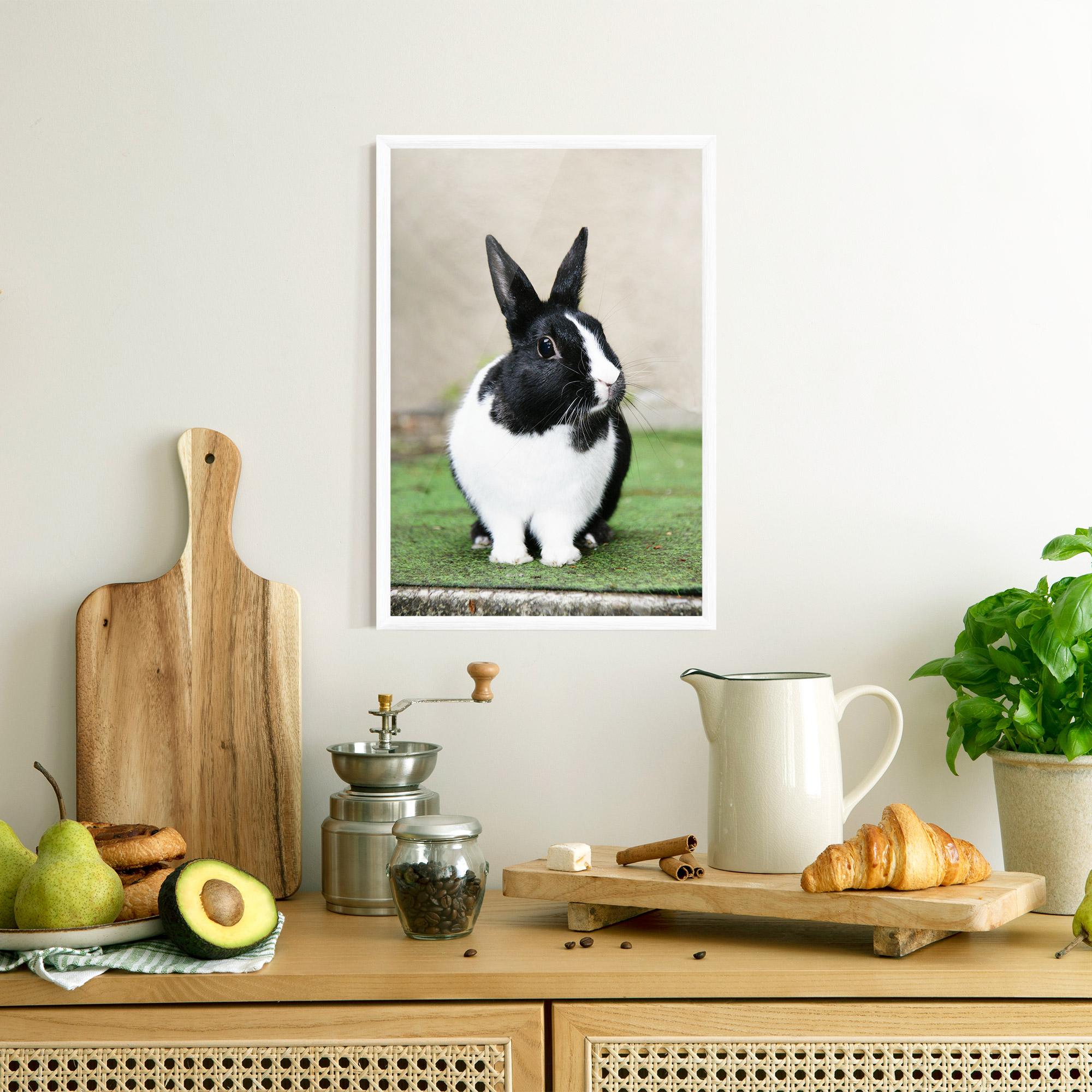 Gerahmte Poster Black Ear Rabbit mockup 8