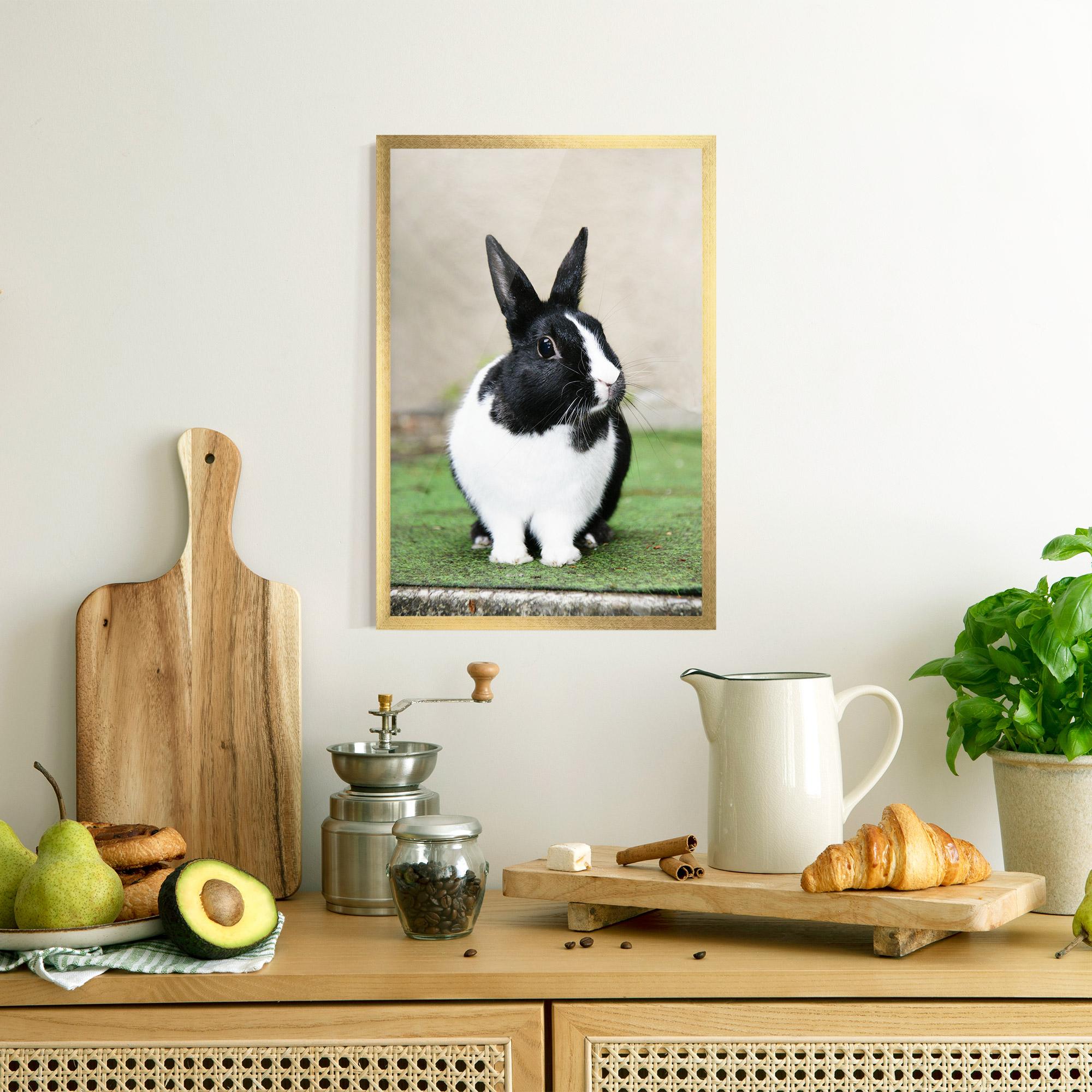 Gerahmte Poster Black Ear Rabbit mockup 8