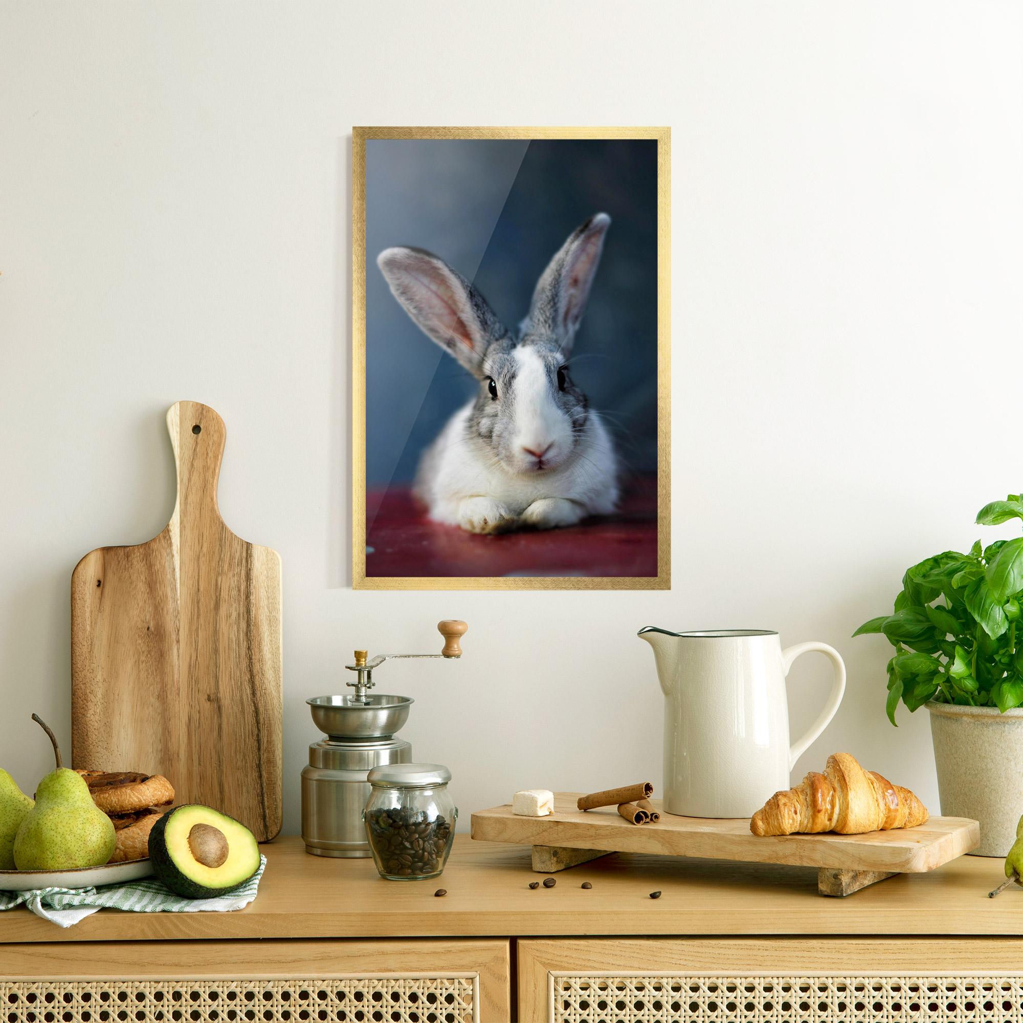 Gerahmte Poster Cute Grey Bunny mockup 8