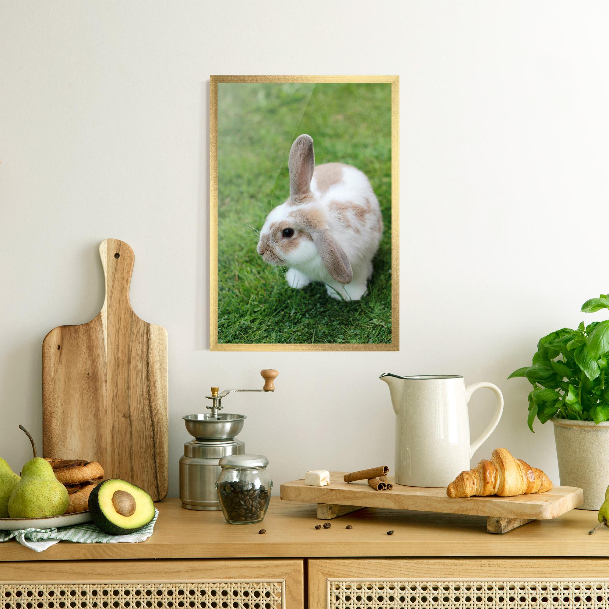 Gerahmte Poster Light Orange Bunny mockup 8