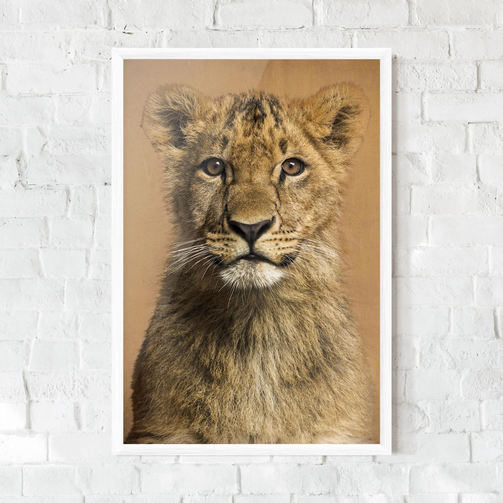 Gerahmte Poster Baby Lion mockup 0