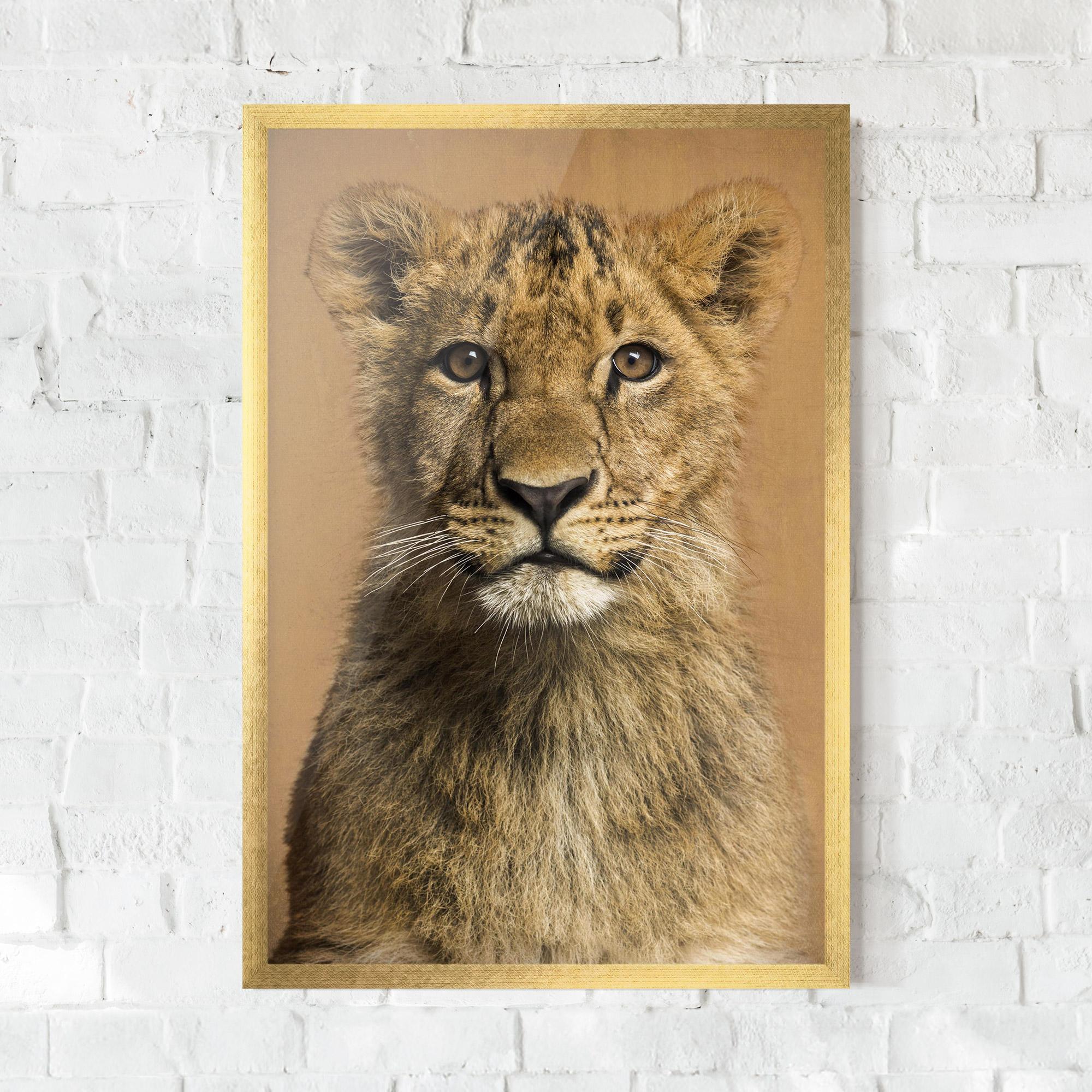 Gerahmte Poster Baby Lion mockup 0