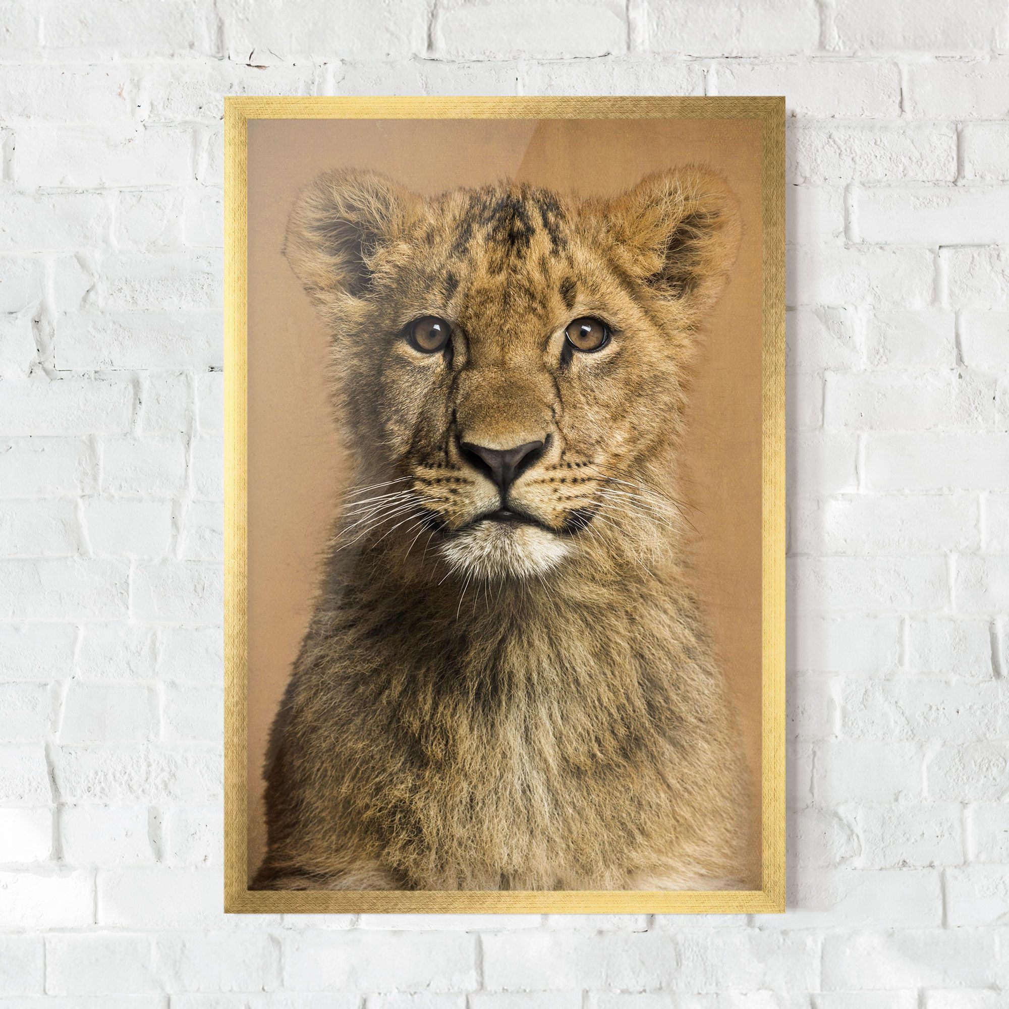 Baby Lion mockup 0