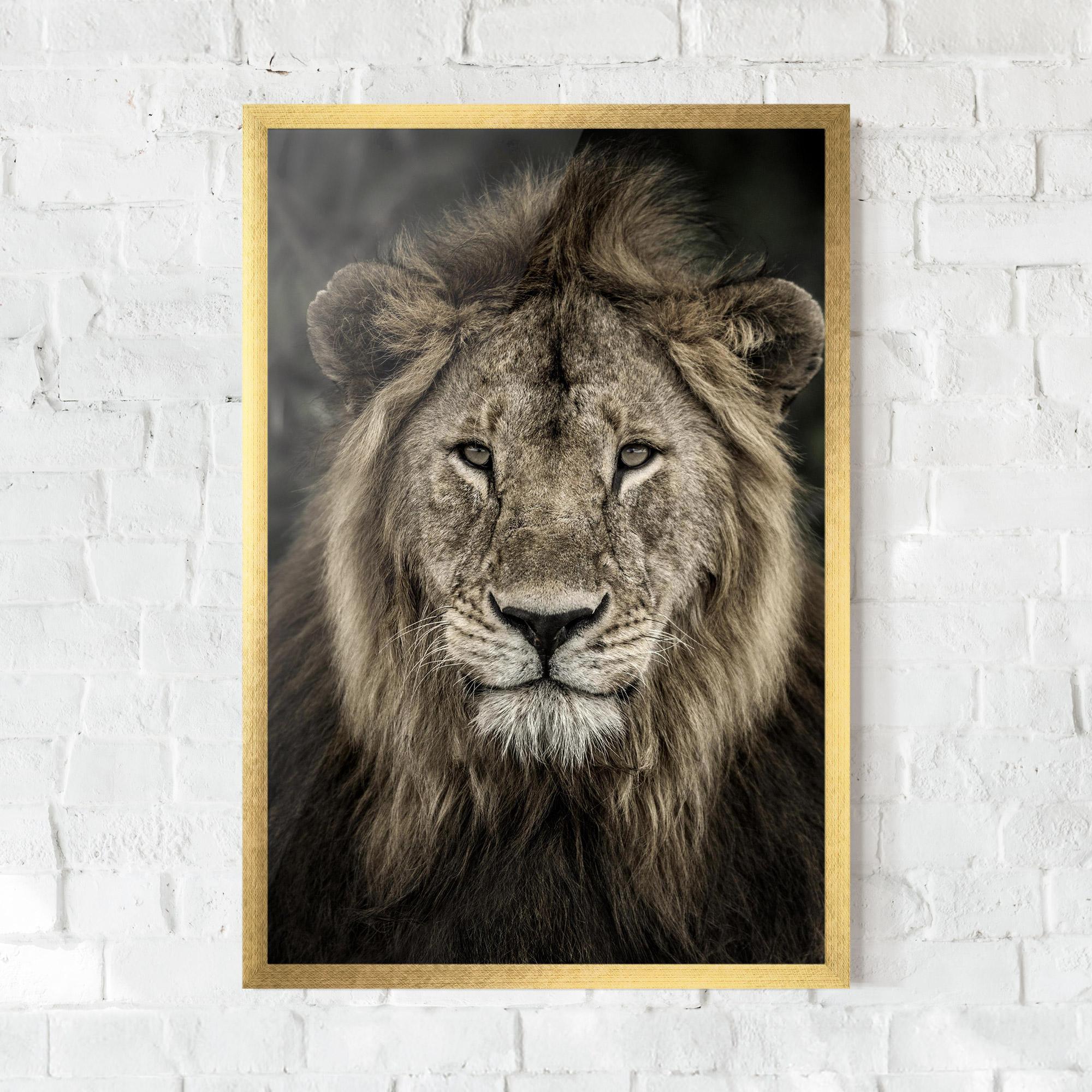 Gerahmte Poster Lion Close Up mockup 0