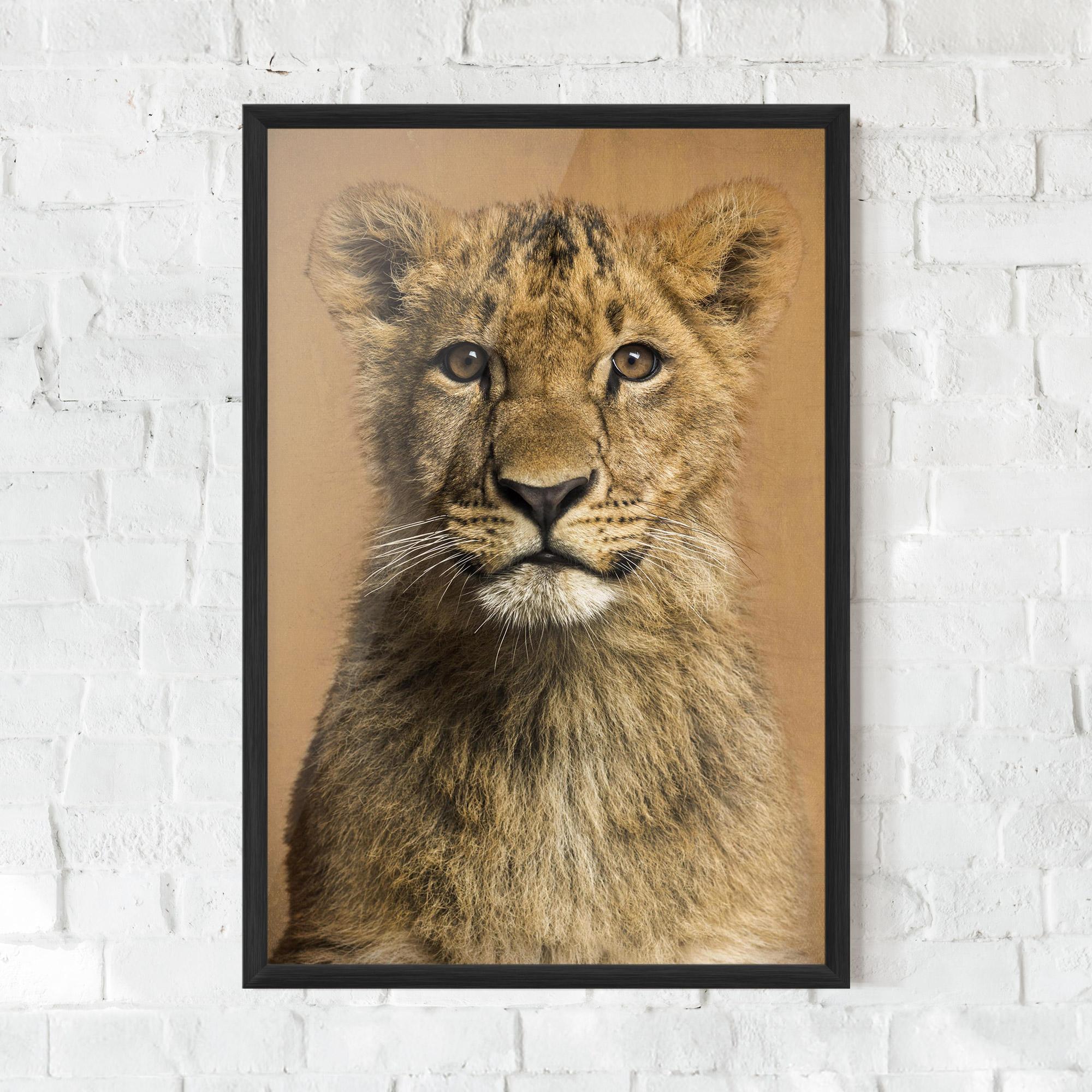 Gerahmte Poster Baby Lion mockup 0