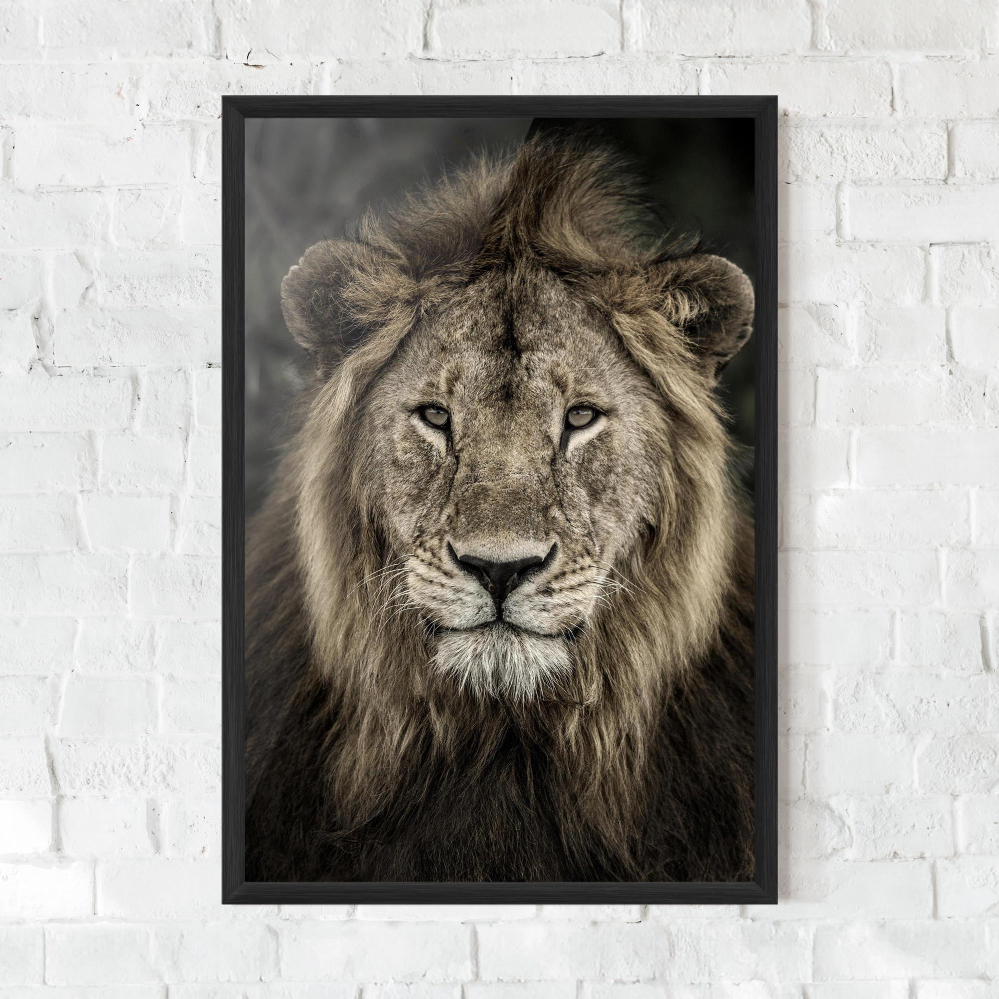 Gerahmte Poster Lion Close Up mockup 0