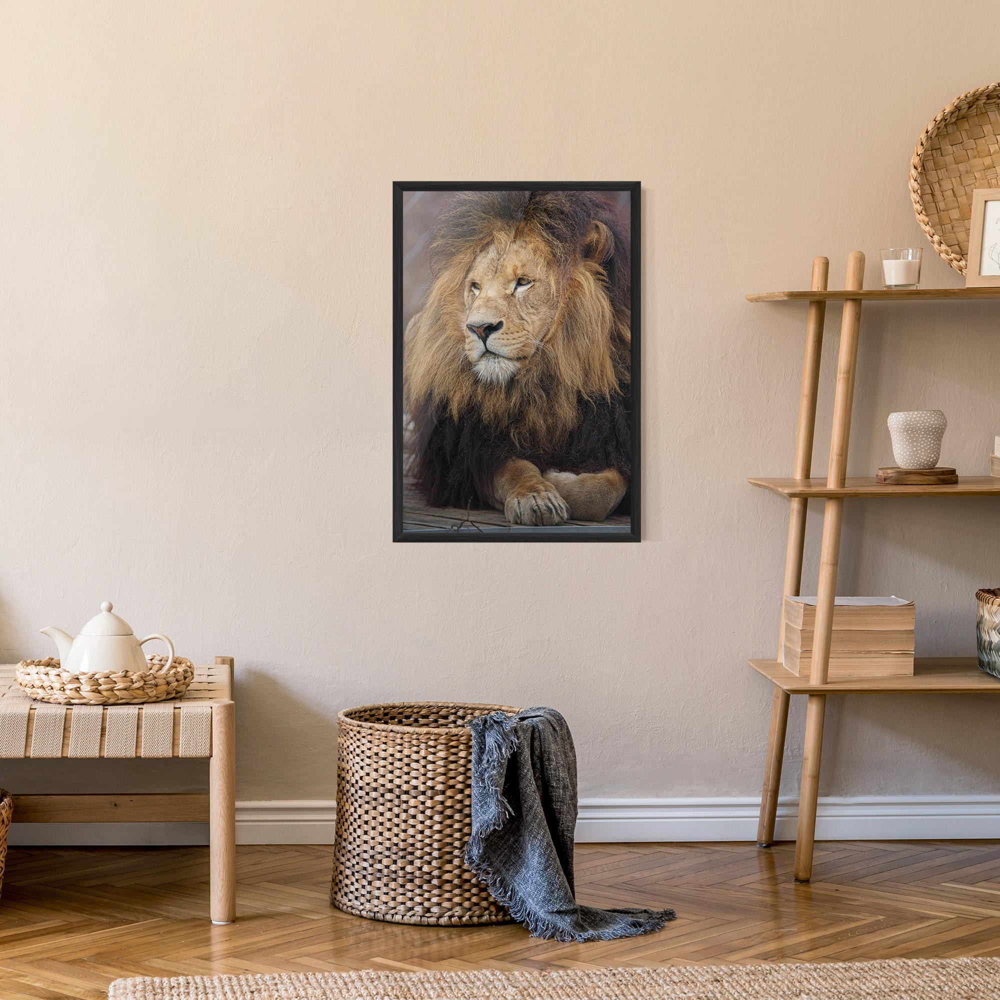 Gerahmte Poster Lion Chilling mockup 9