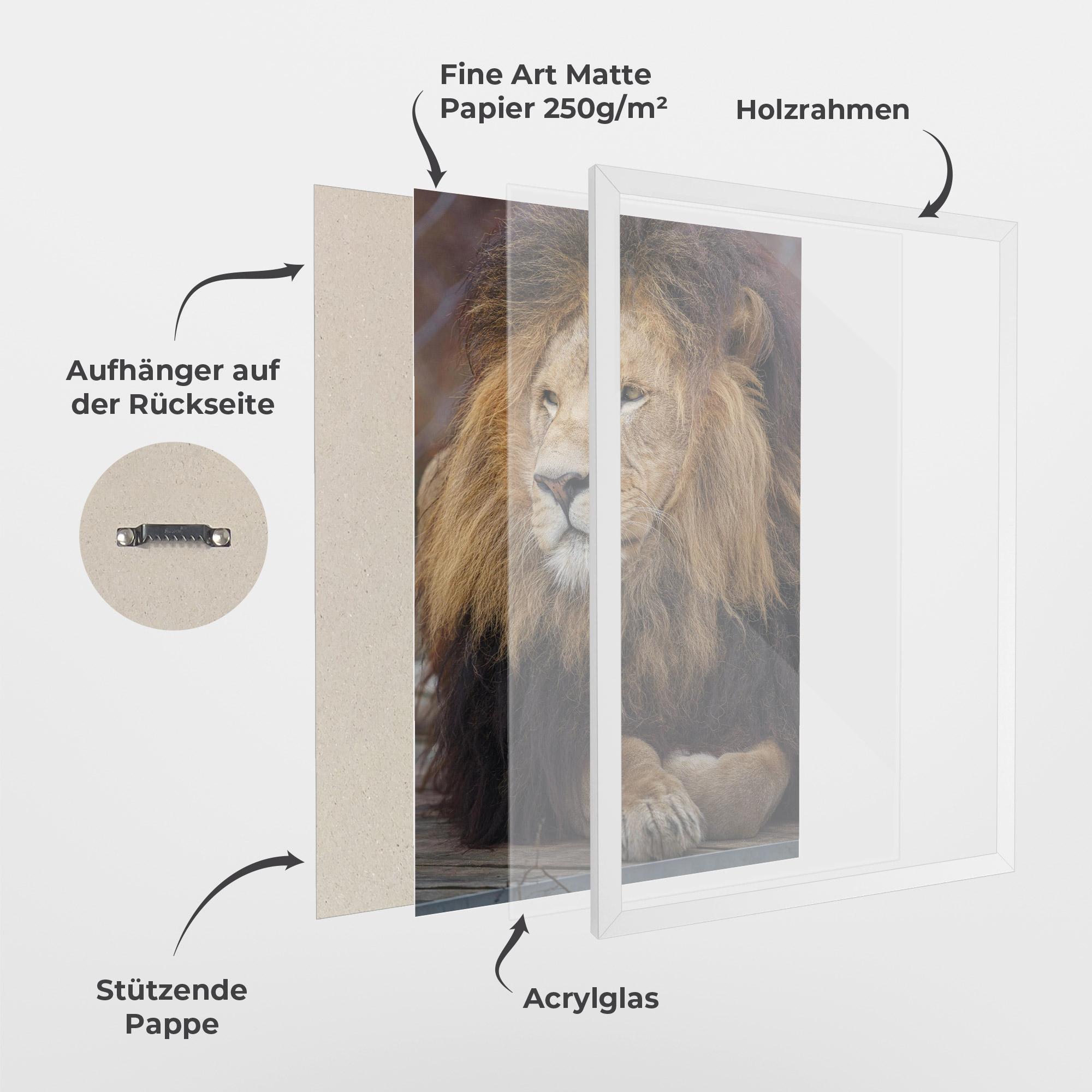 Gerahmte Poster Lion Chilling mockup 1