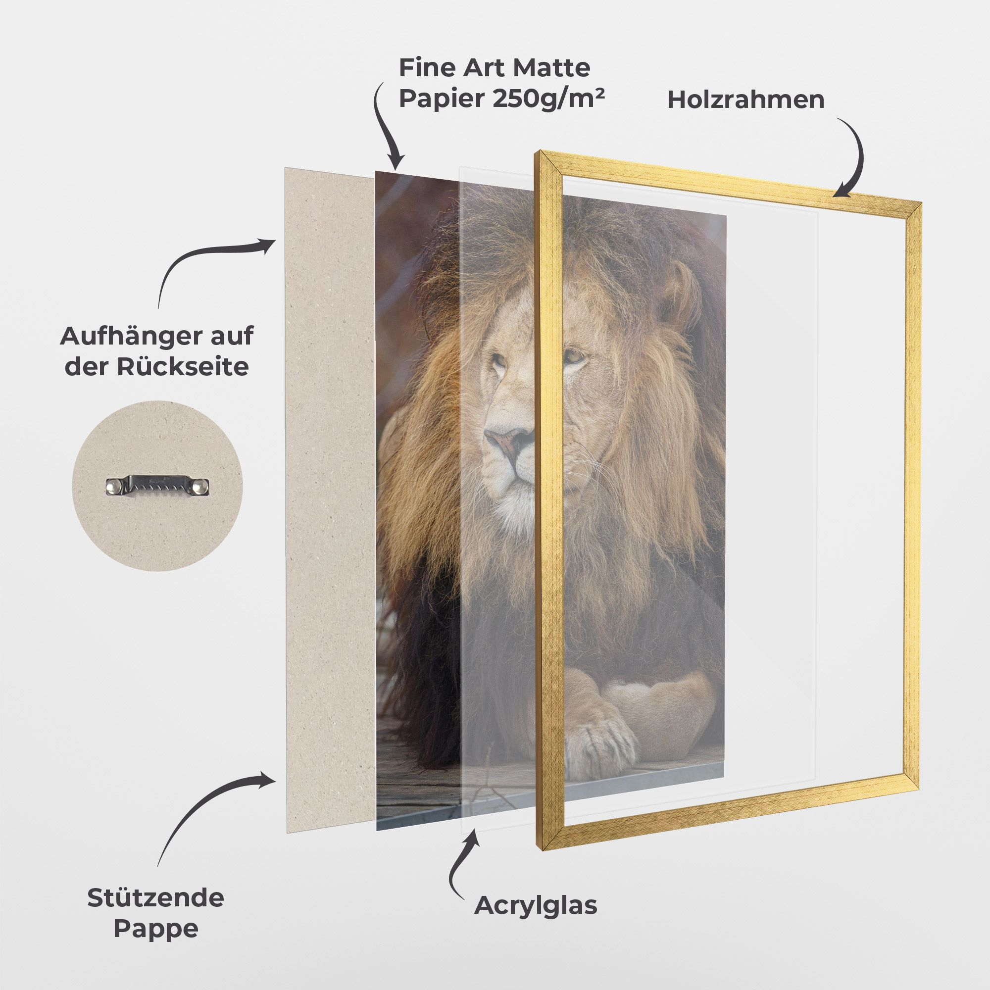 Lion Chilling mockup 1