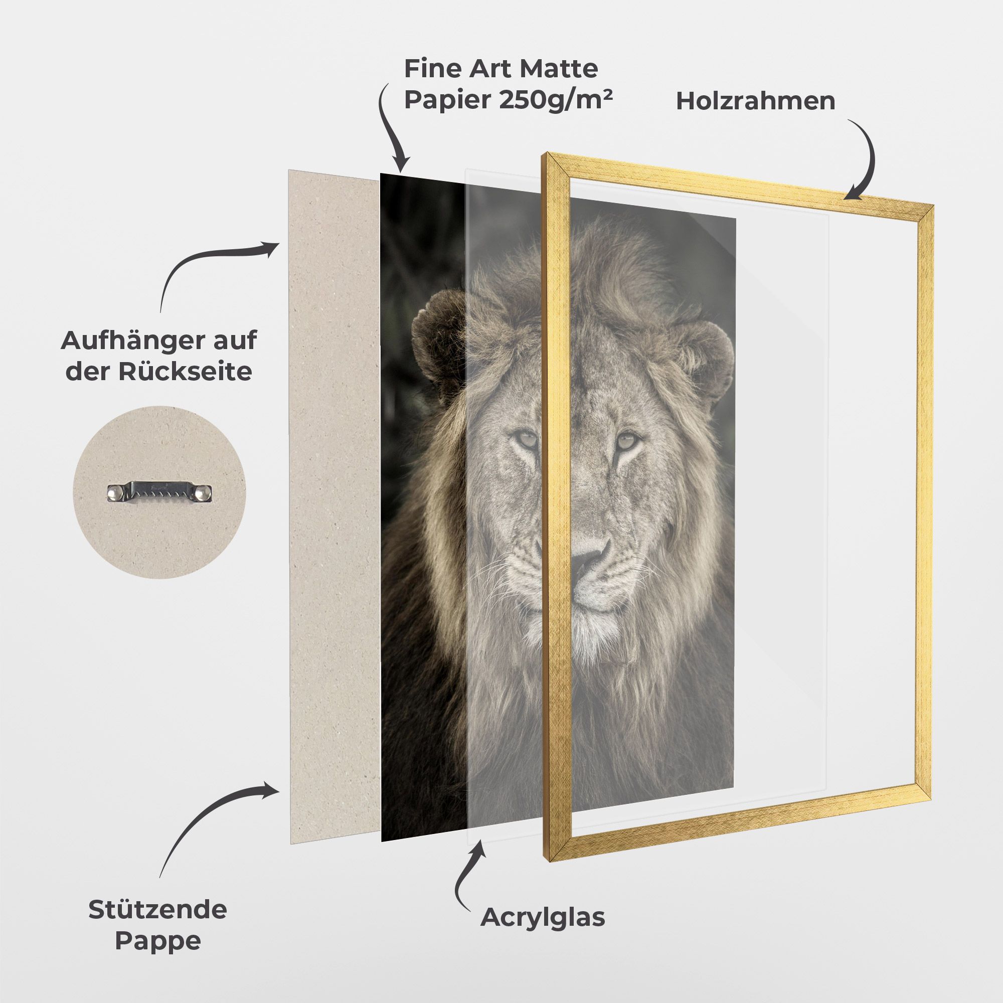 Lion Close Up mockup 1