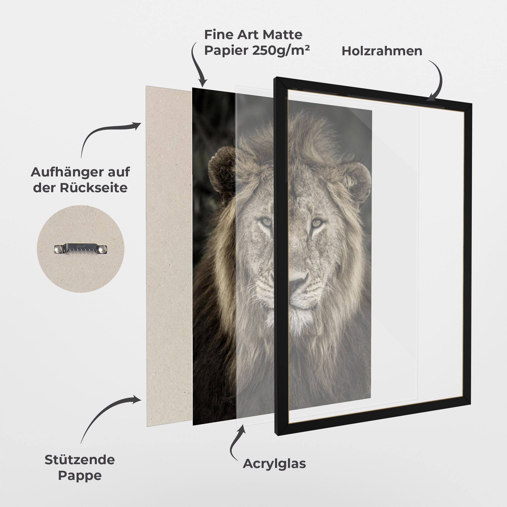 Lion Close Up mockup 1