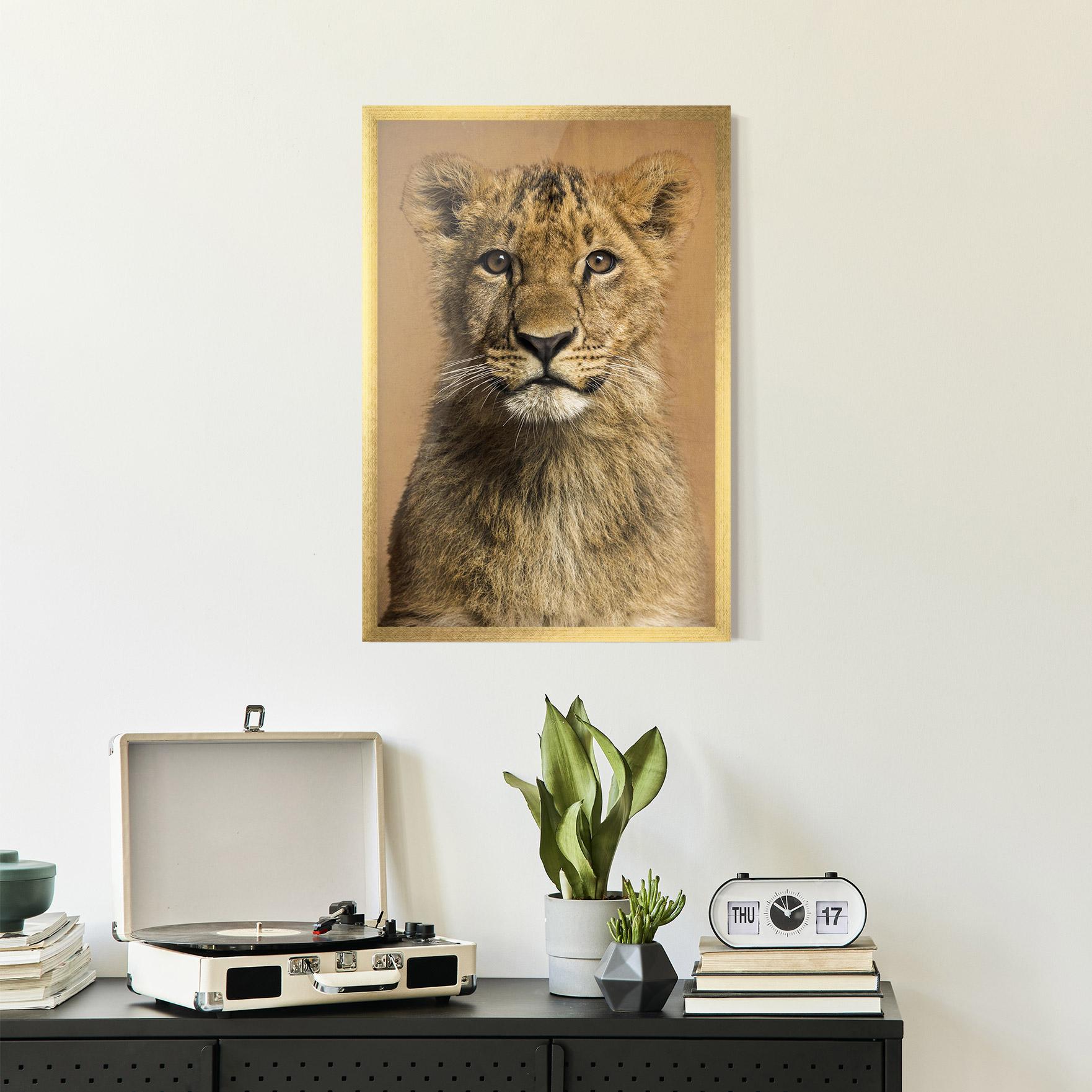 Gerahmte Poster Baby Lion mockup 2