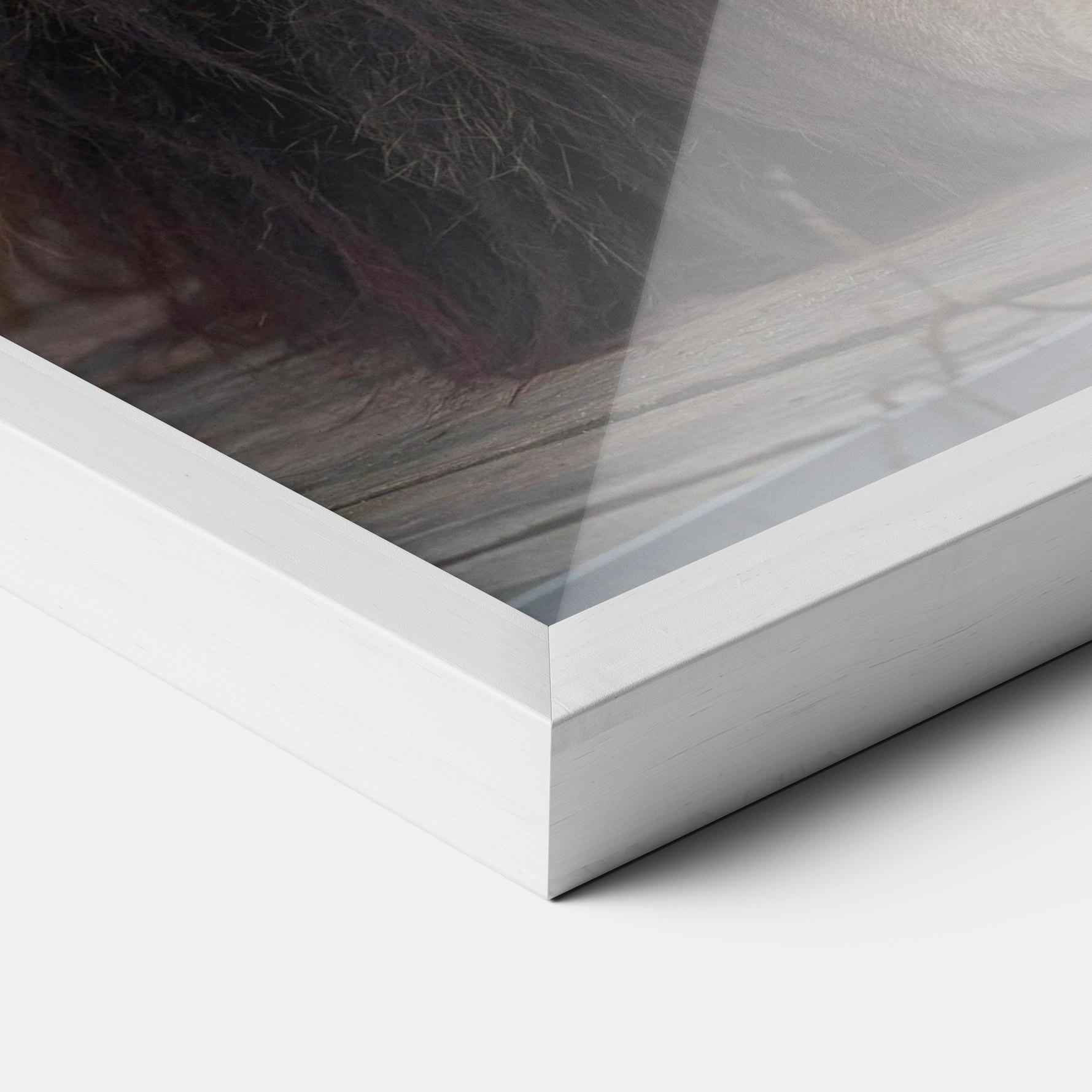 Gerahmte Poster Lion Chilling mockup 3