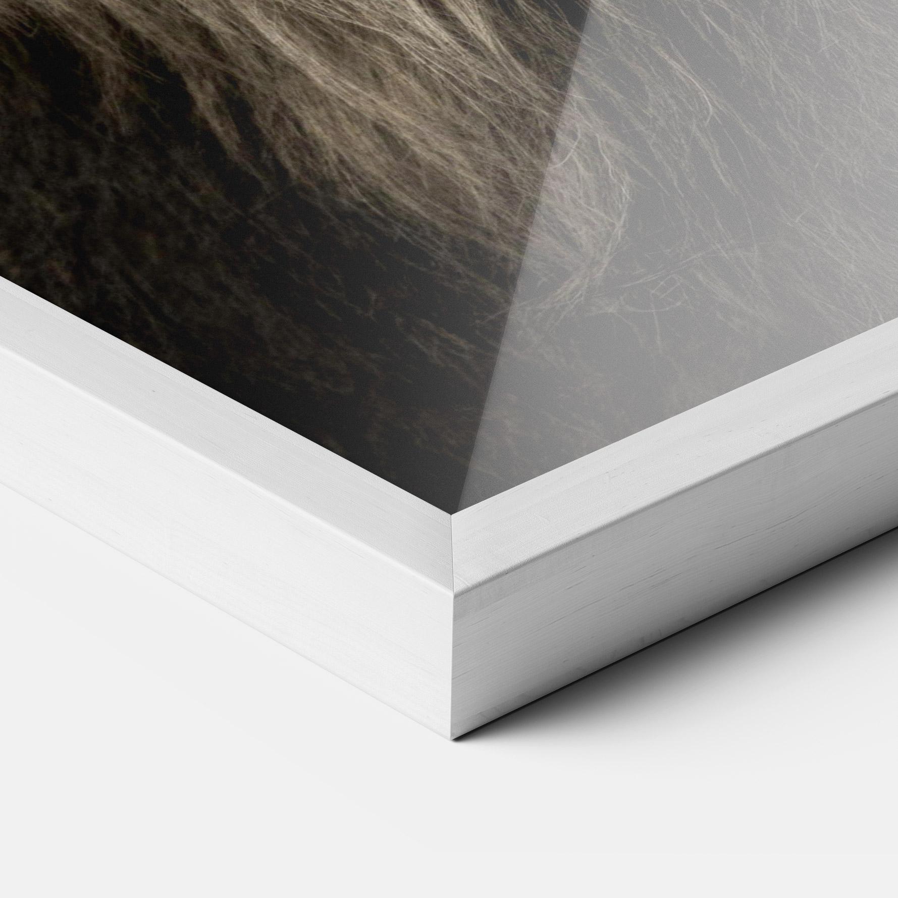 Gerahmte Poster Lion Close Up mockup 3