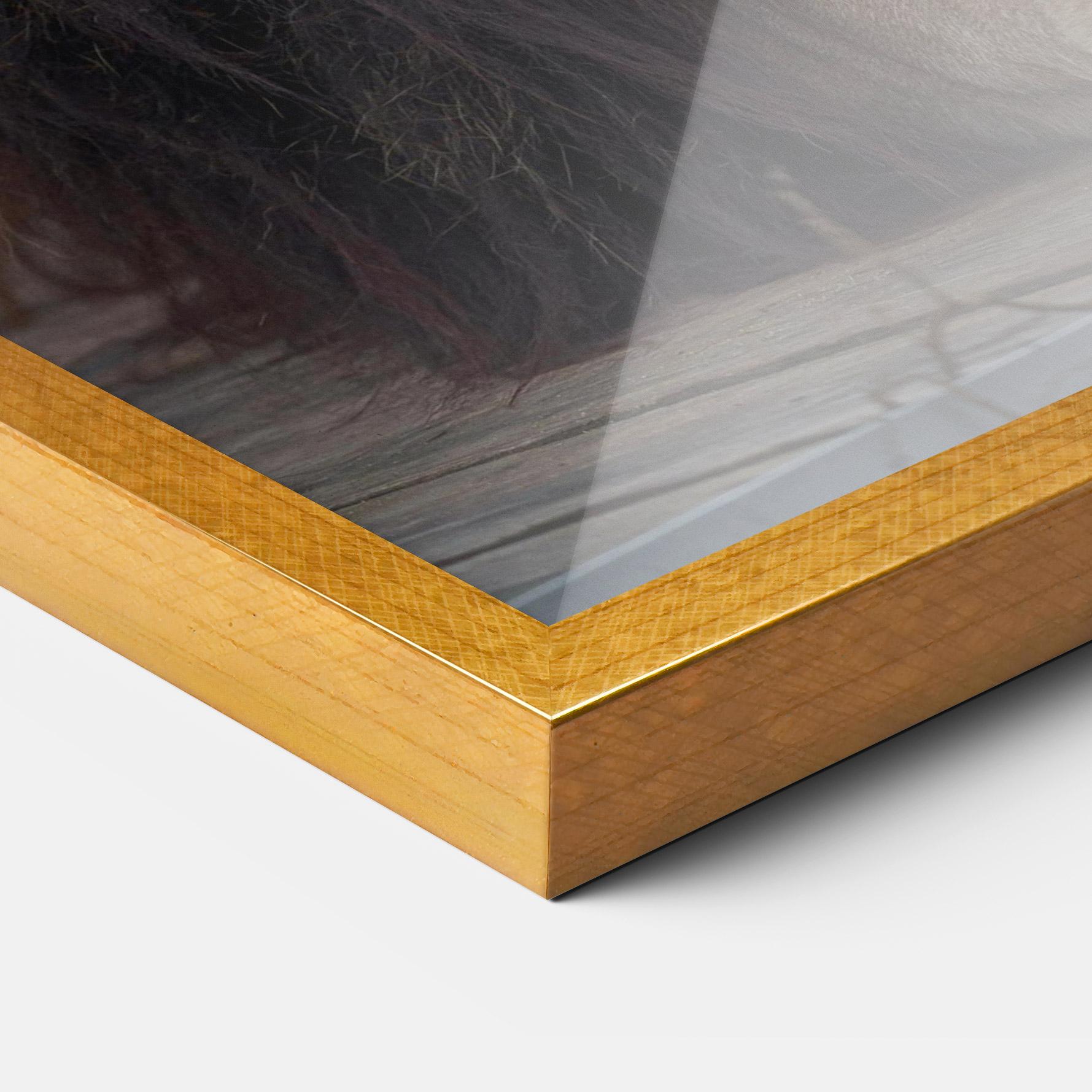 Gerahmte Poster Lion Chilling mockup 3