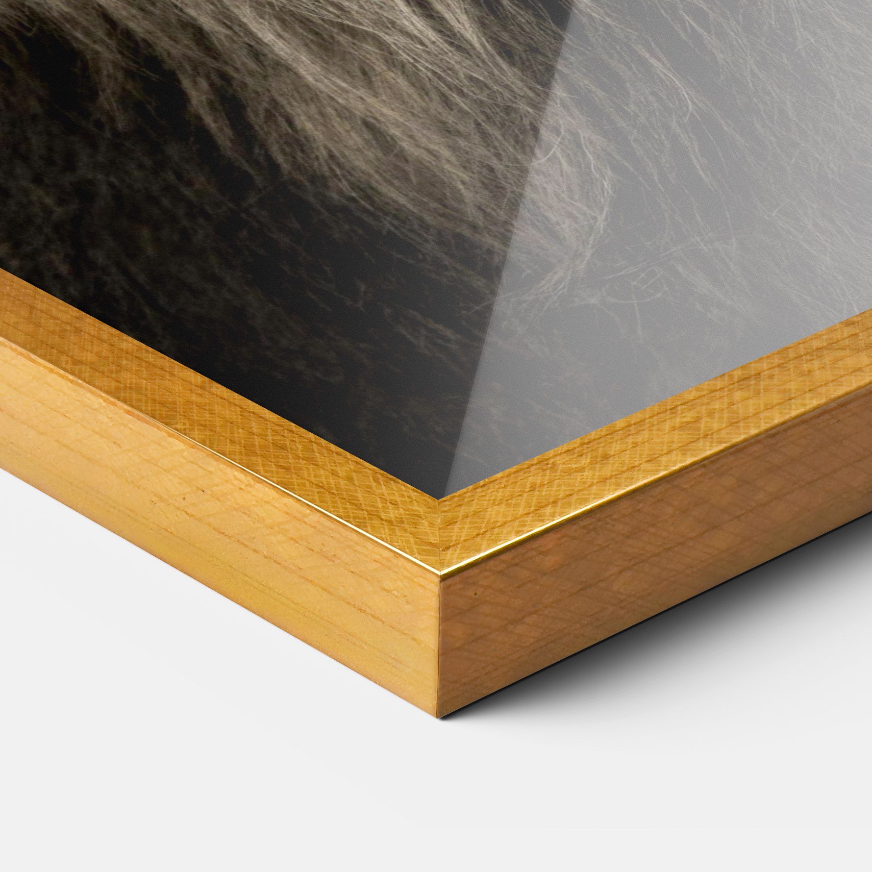 Lion Close Up mockup 3