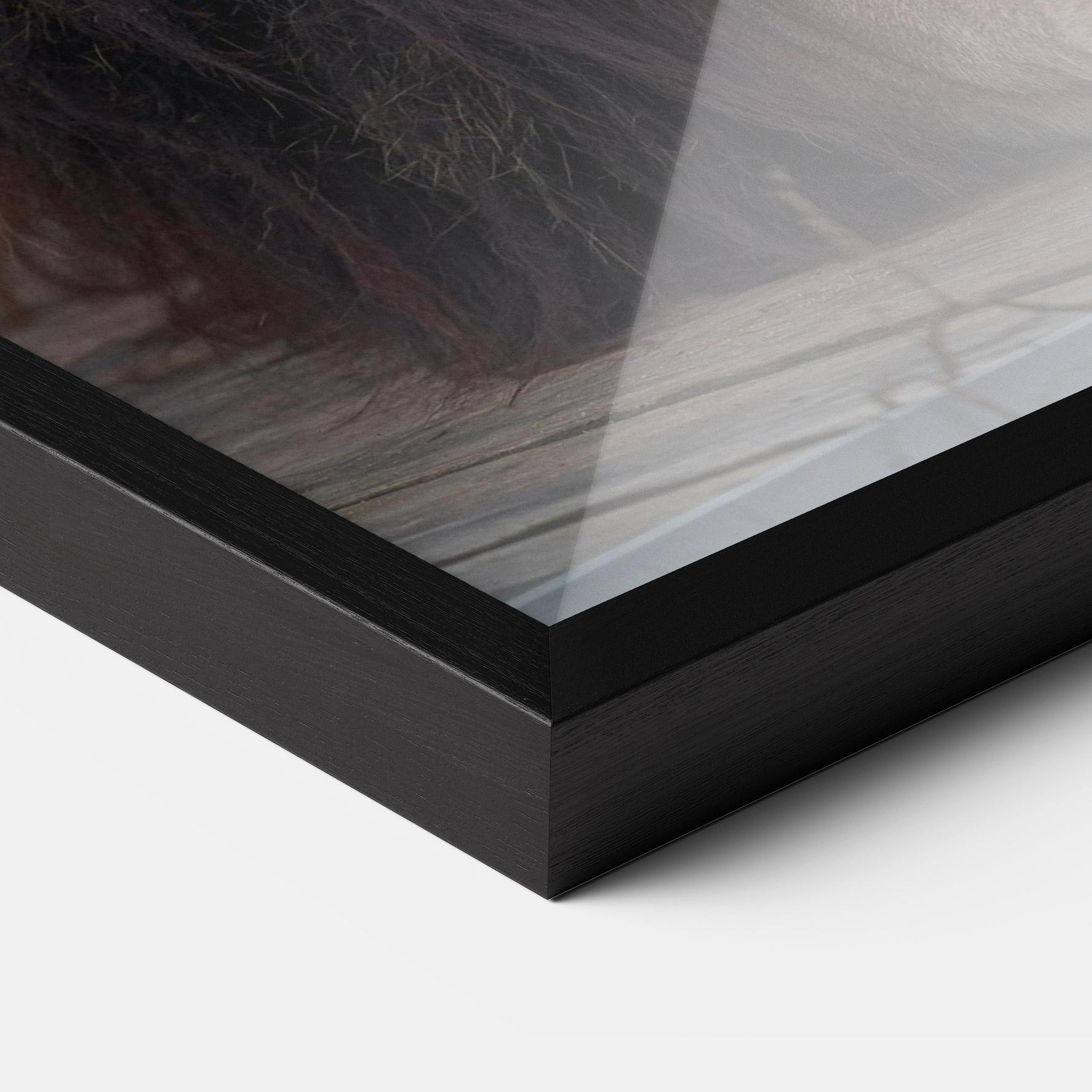 Gerahmte Poster Lion Chilling mockup 3