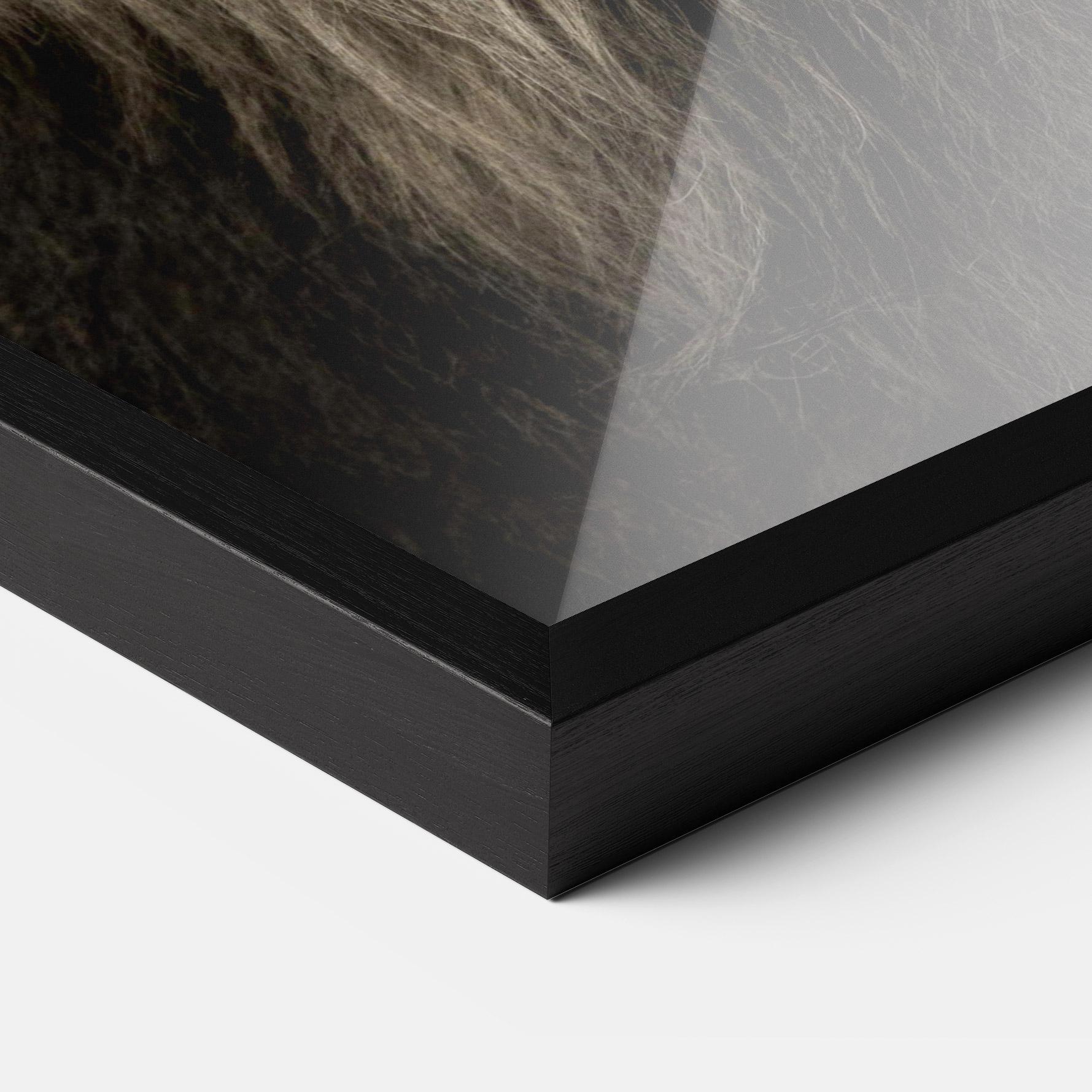 Gerahmte Poster Lion Close Up mockup 3