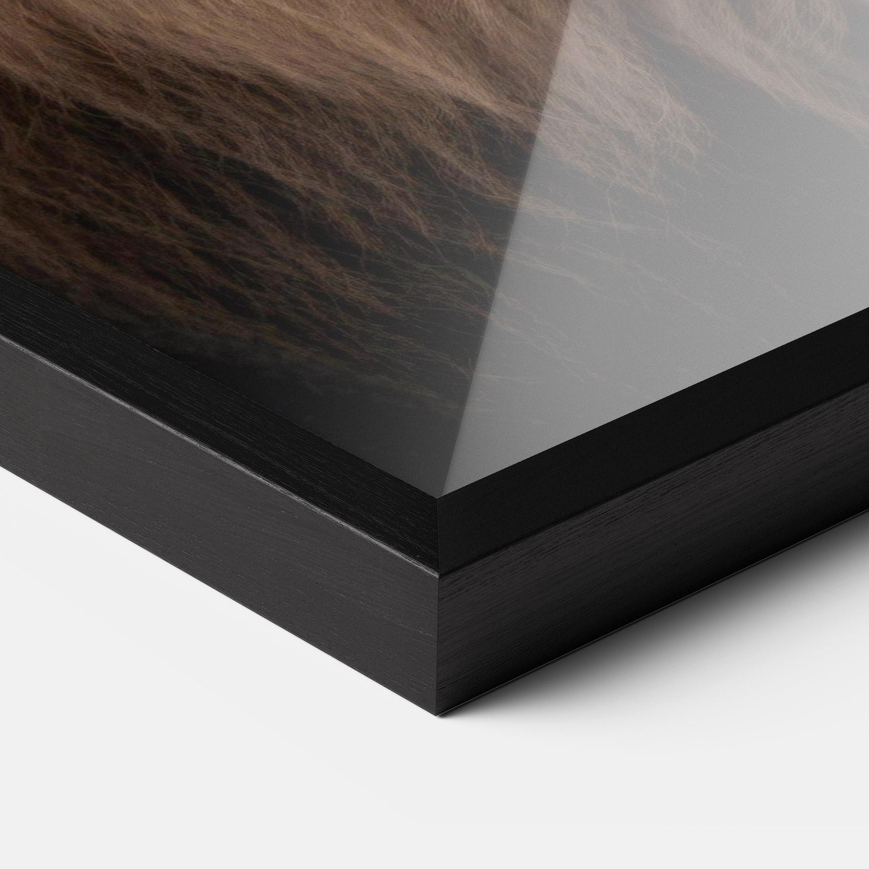 Gerahmte Poster Wild Lion View mockup 3