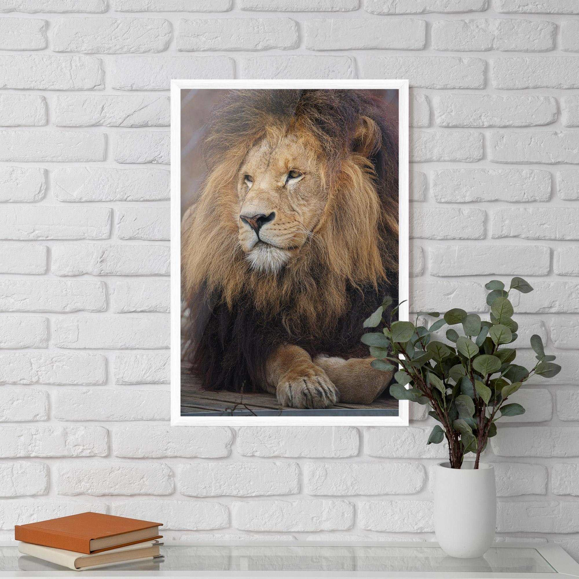Gerahmte Poster Lion Chilling mockup 5